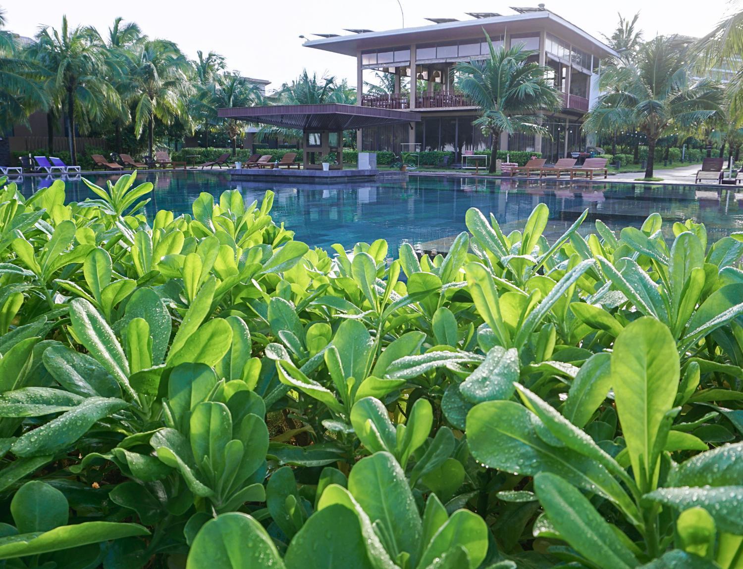 Sonaga Villas Khu nghỉ mát *