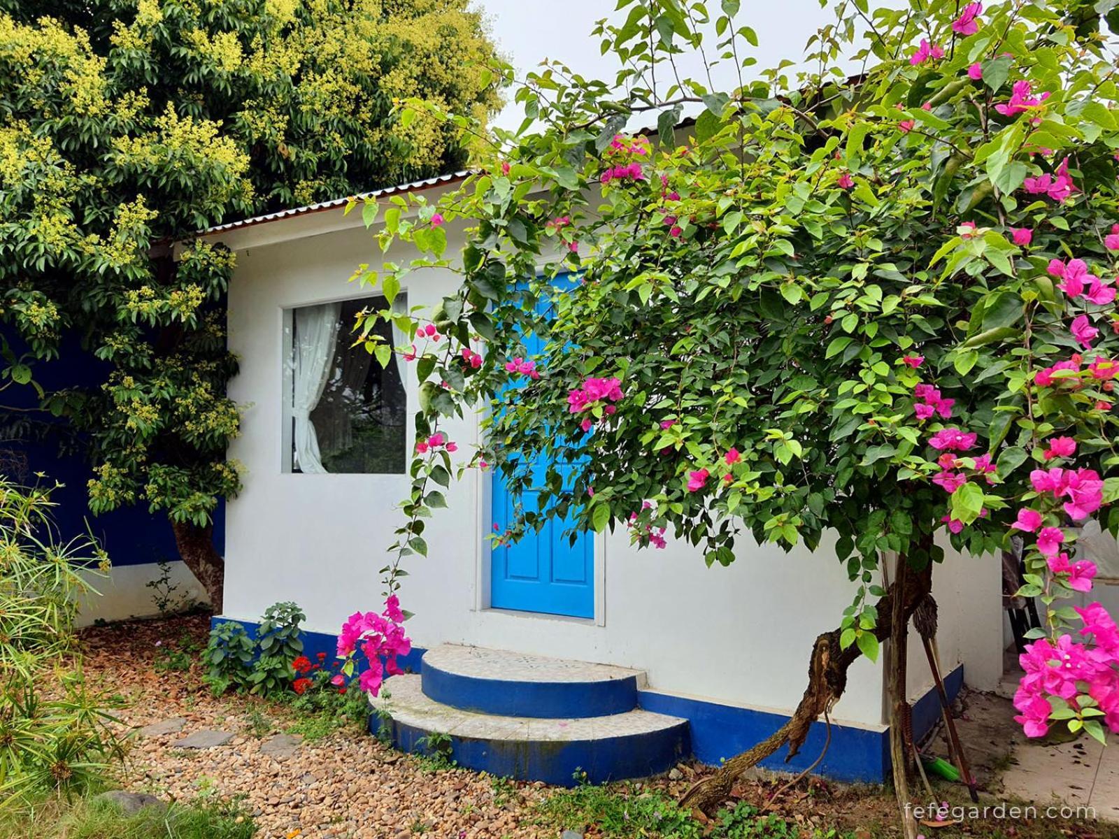 Fefe Garden Ba Vi