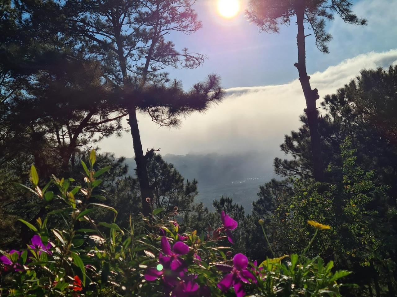 Hill Resort