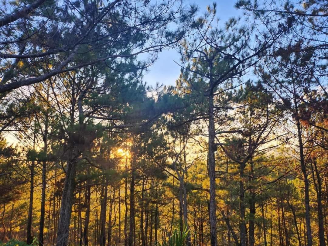 Hill Resort Da Lat
