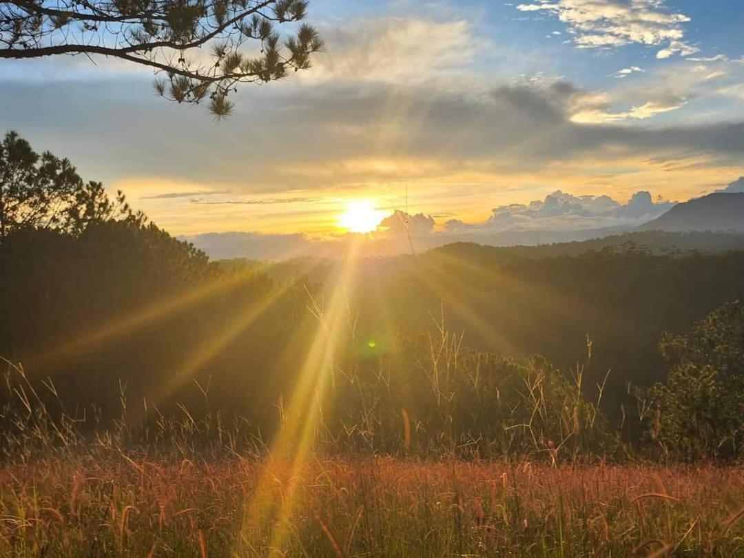 Hill * Da Lat