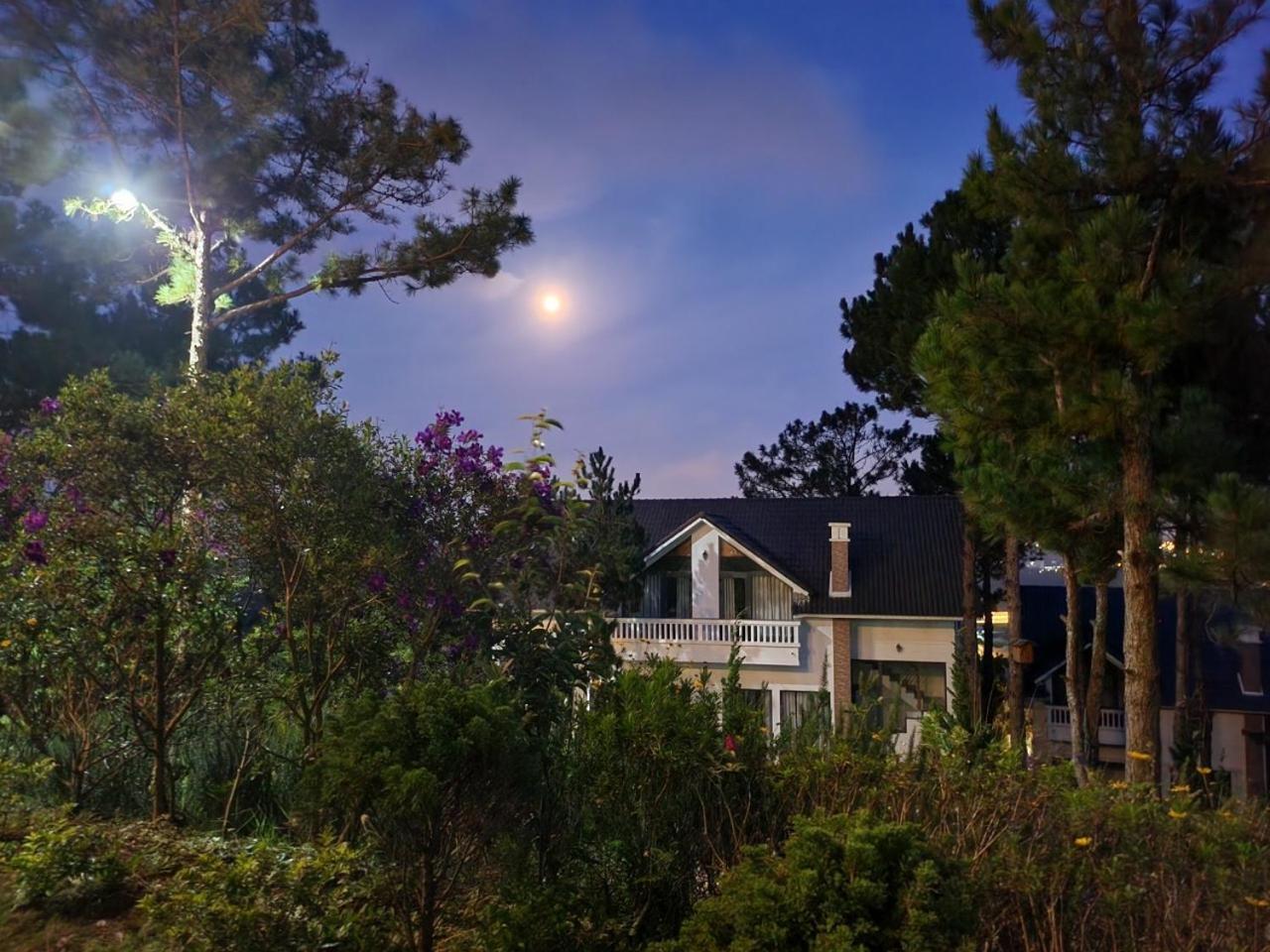 Hill * Da Lat