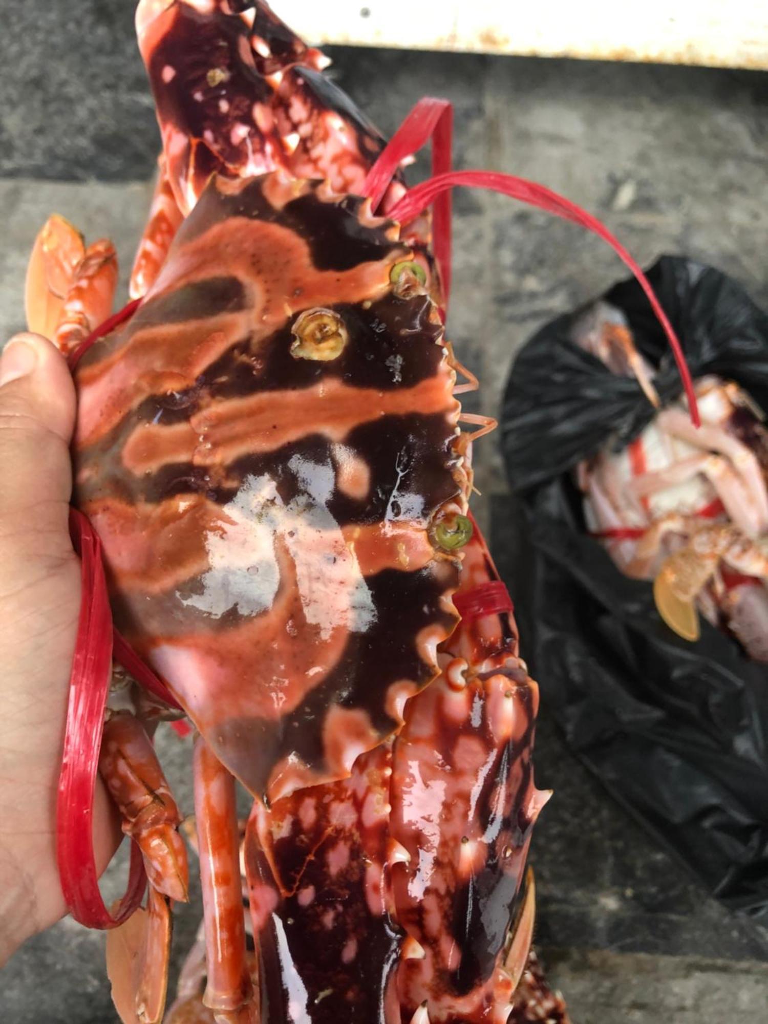 Khách sạn Phương Thuỷ