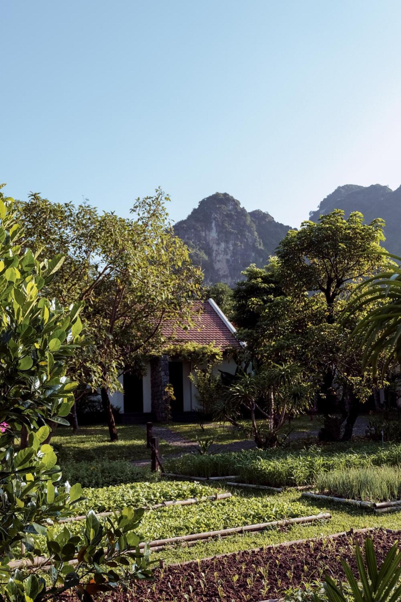 Resort Aravinda 4*