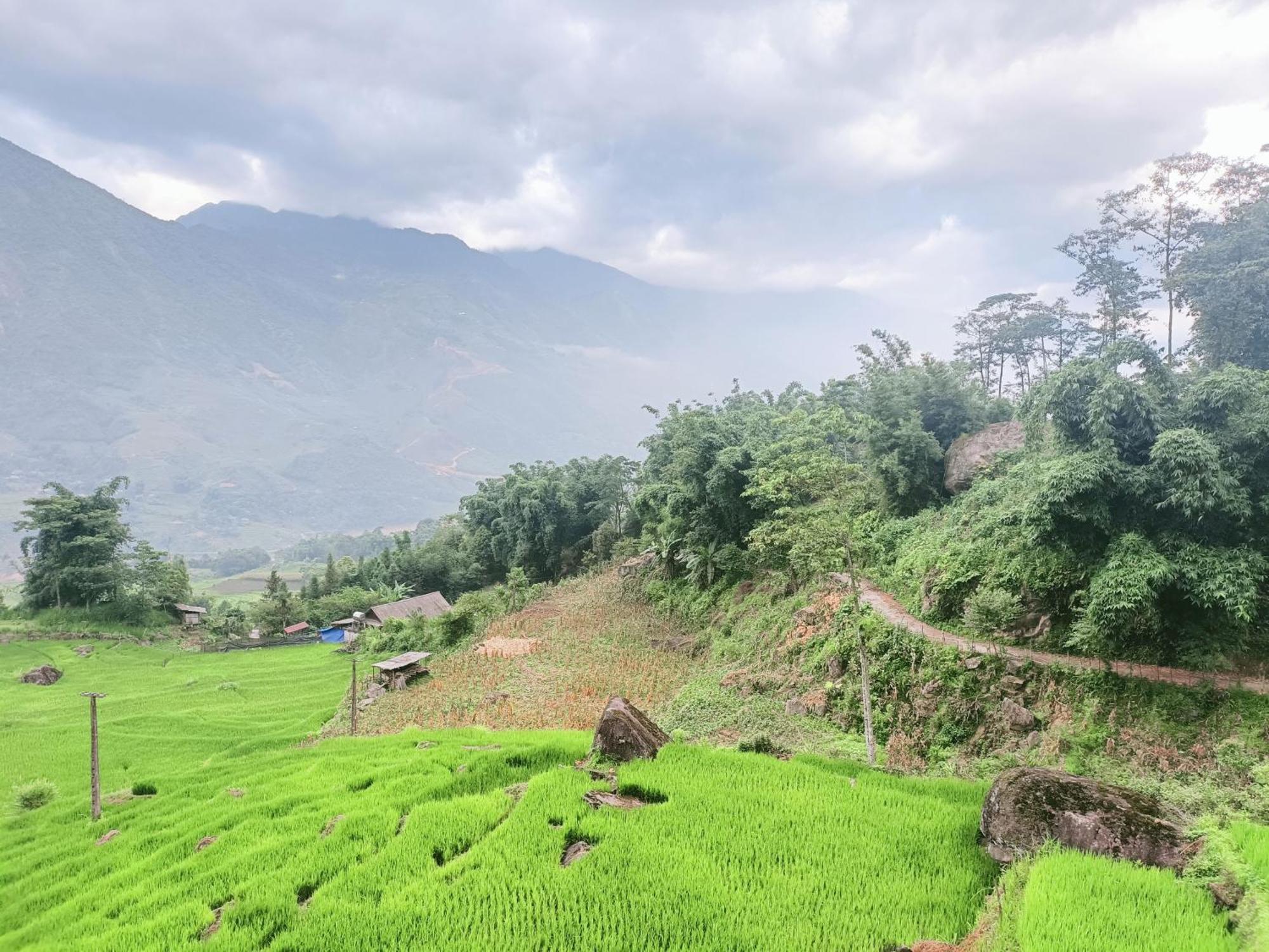 Hmong Eco