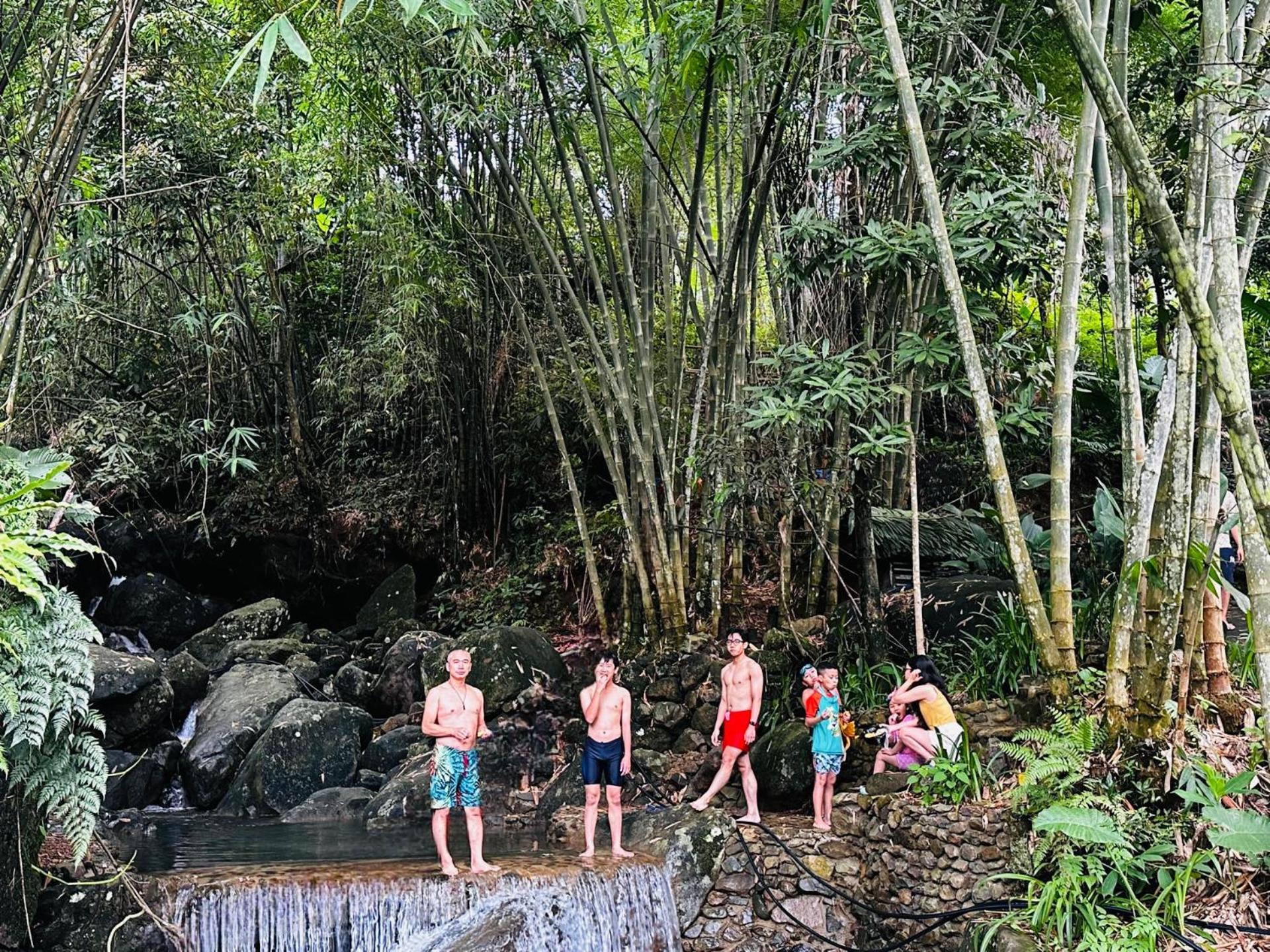 Jungle 4*