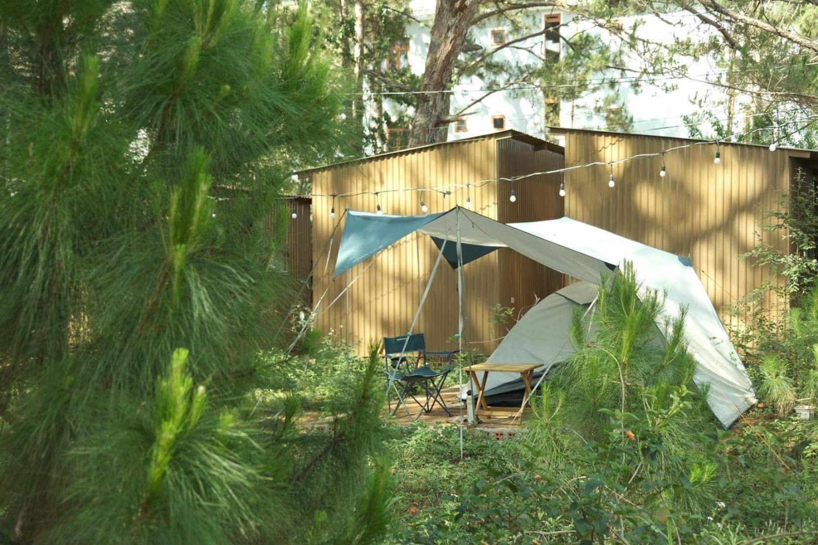 Tron Homestay Homestay