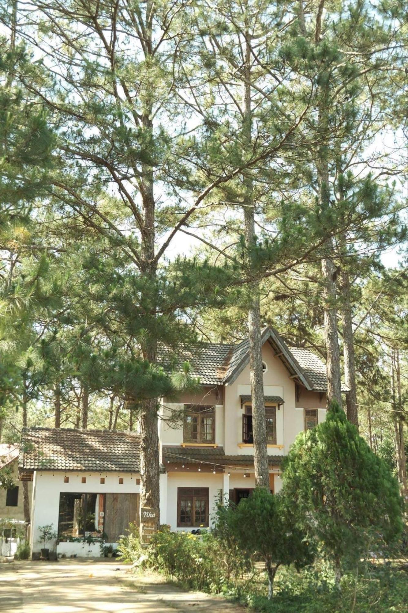Homestay Tron Homestay