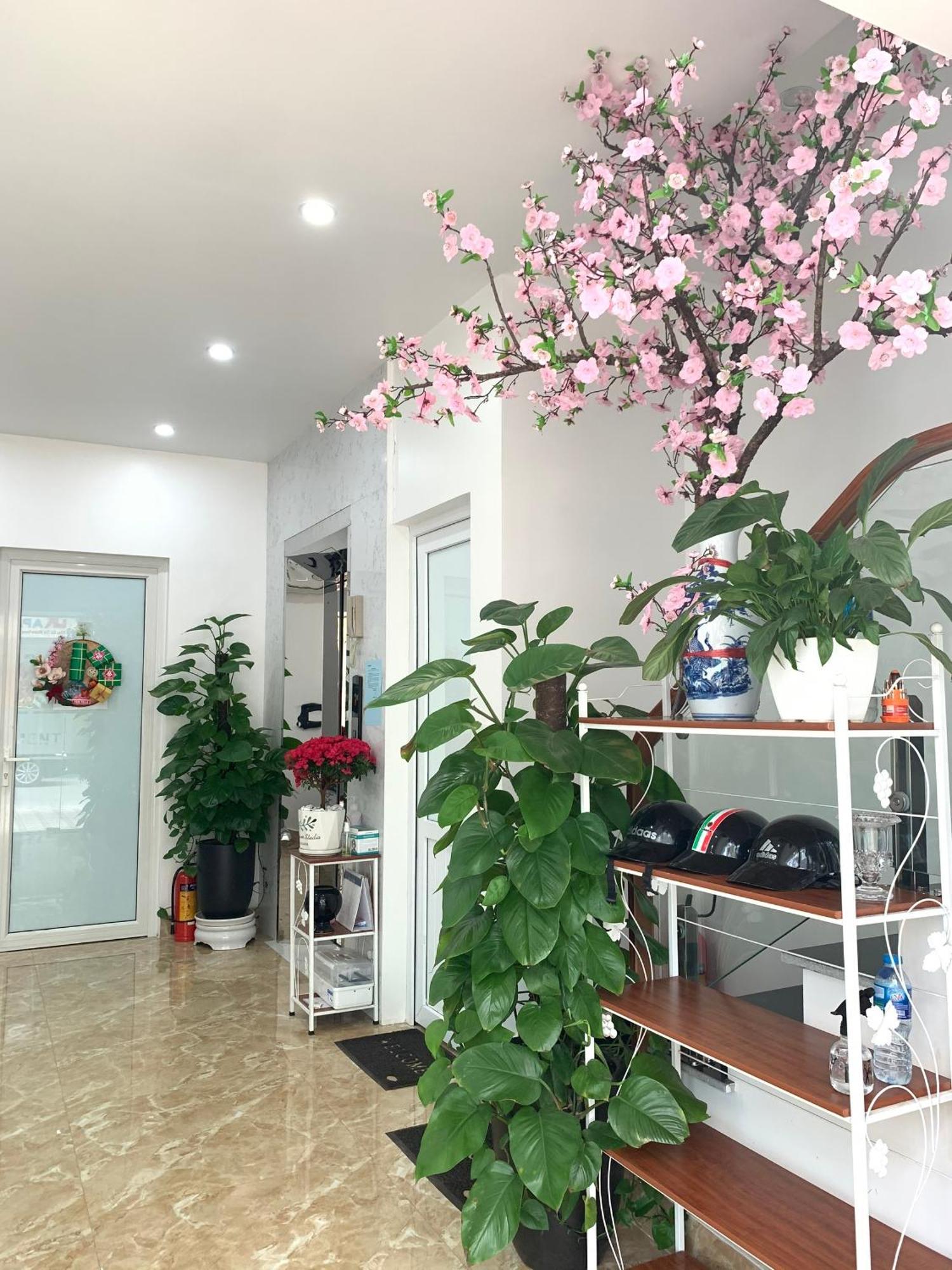 Apartment Dk 1