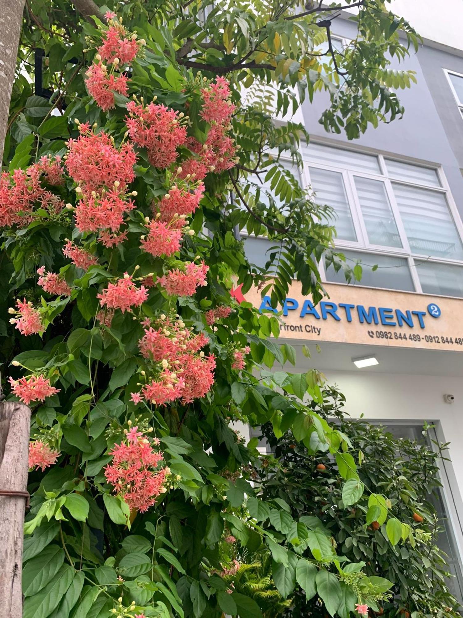 Apartment Dk 1