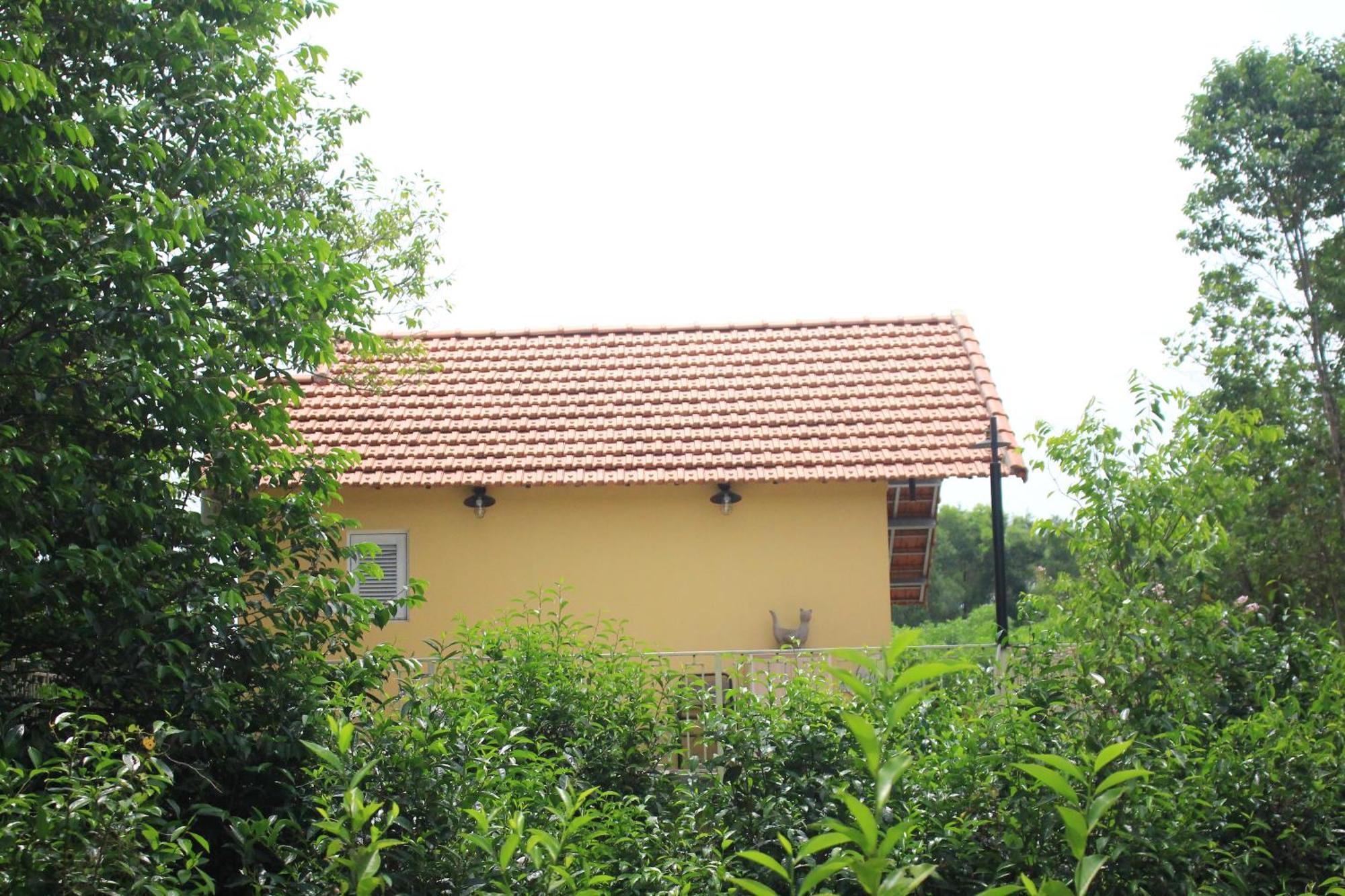 Nomad Hill Bed & Breakfast *
