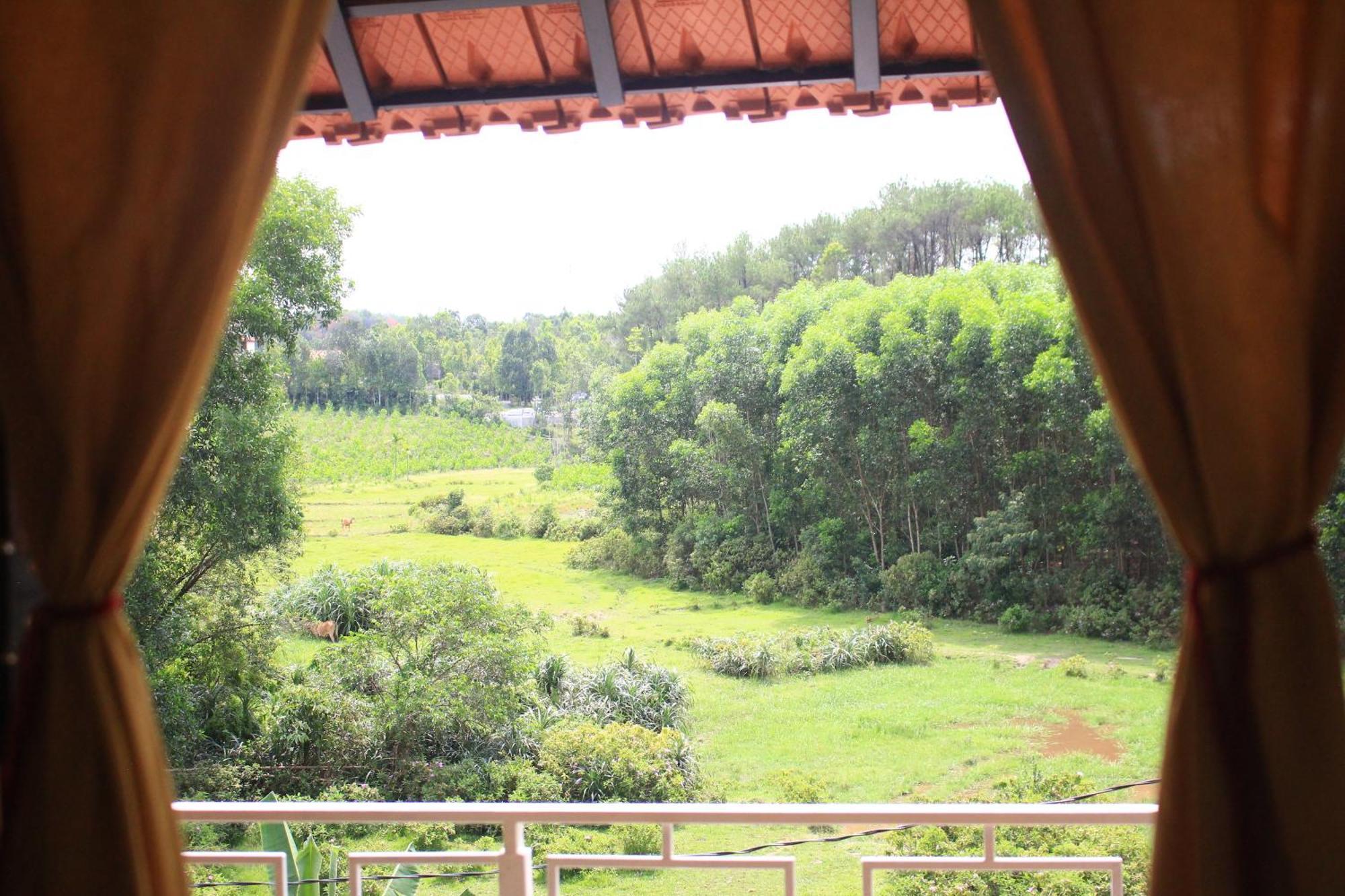 Nomad Hill Bed & Breakfast