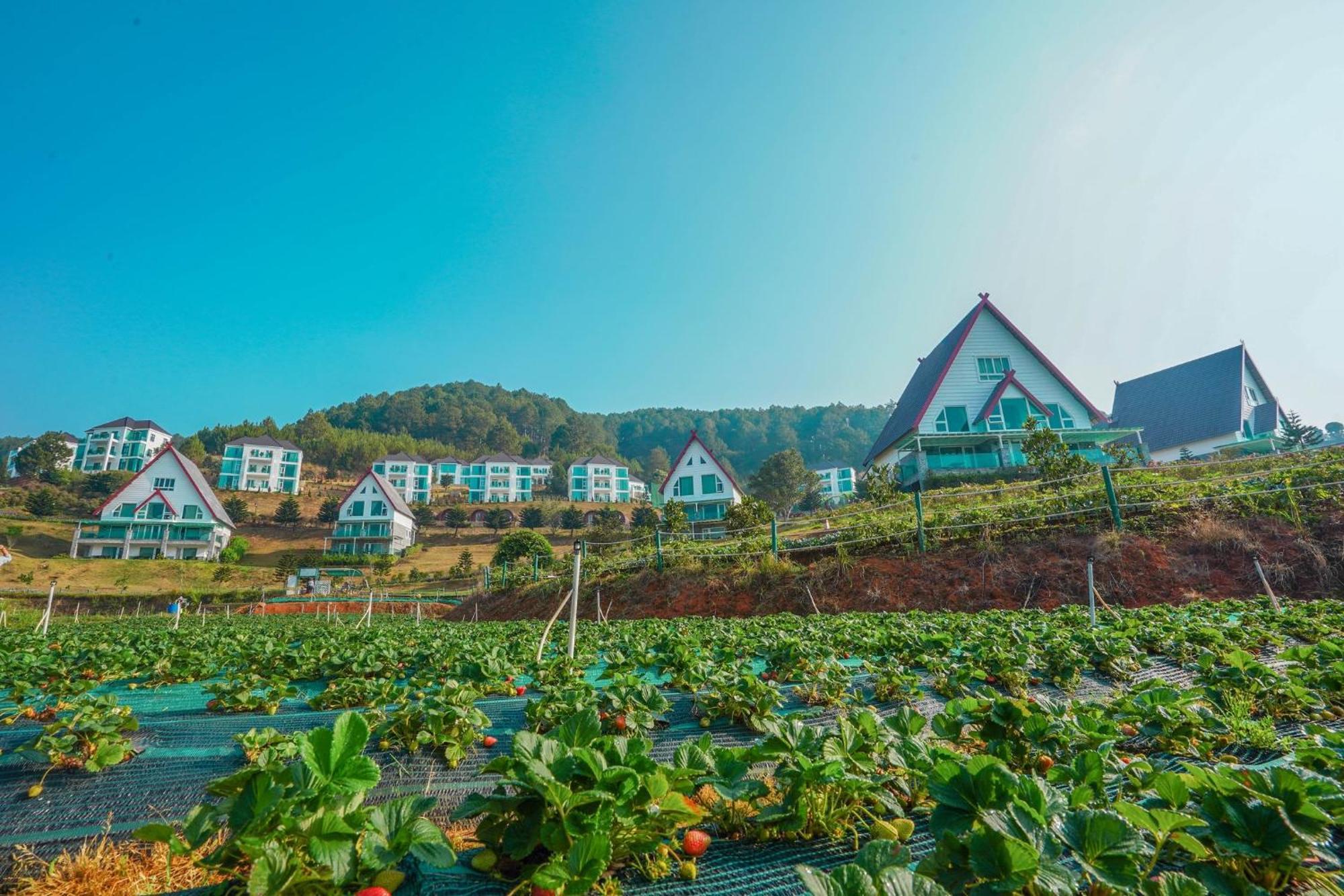 Wonder 4* Da Lat