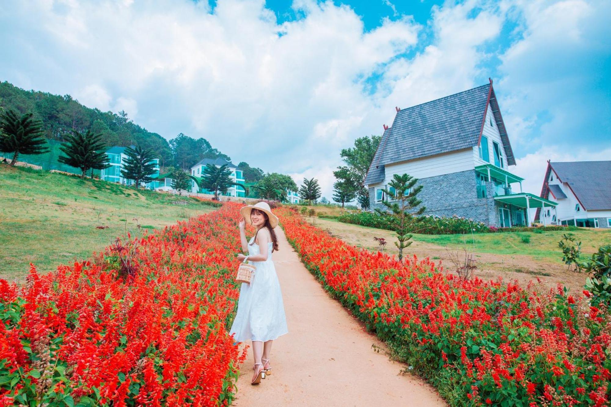 Wonder Da Lat
