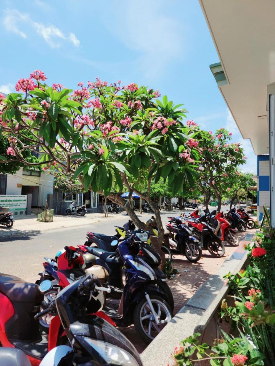 Khach San Long Dao Phu Quy * Cu Lao Thu