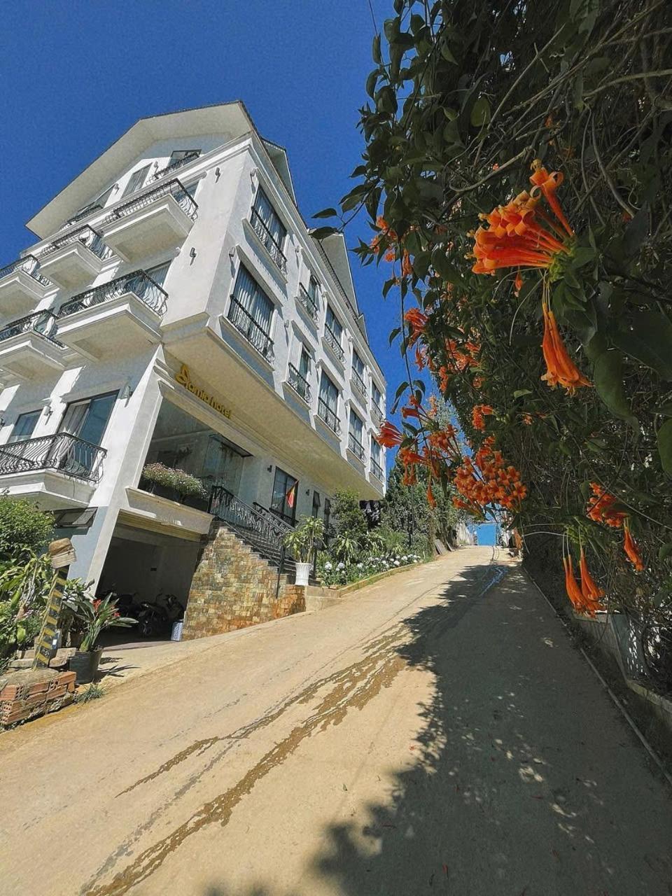 Amia Hotel 3*
