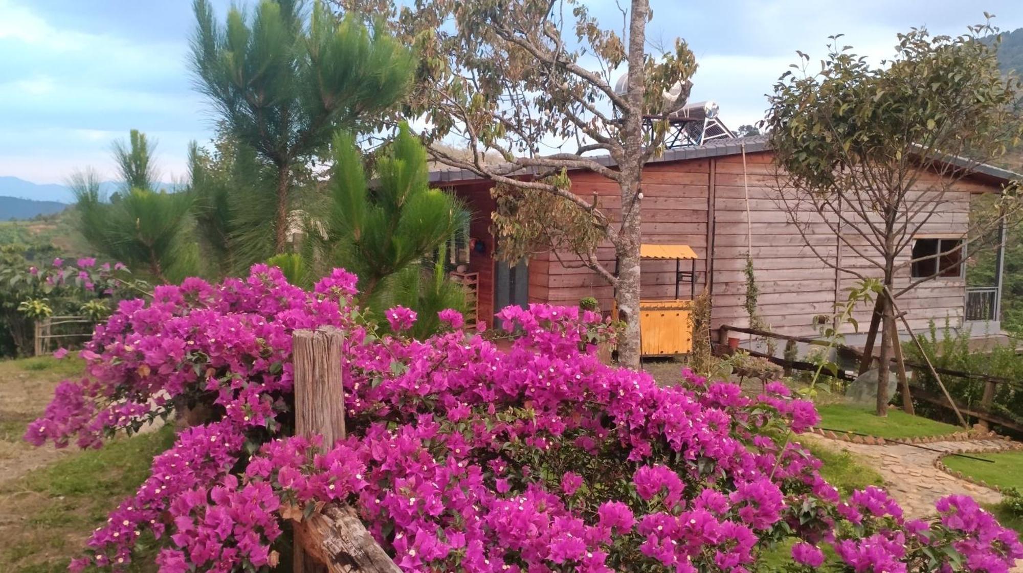 Lam Nguyen Charming House Bauernhof