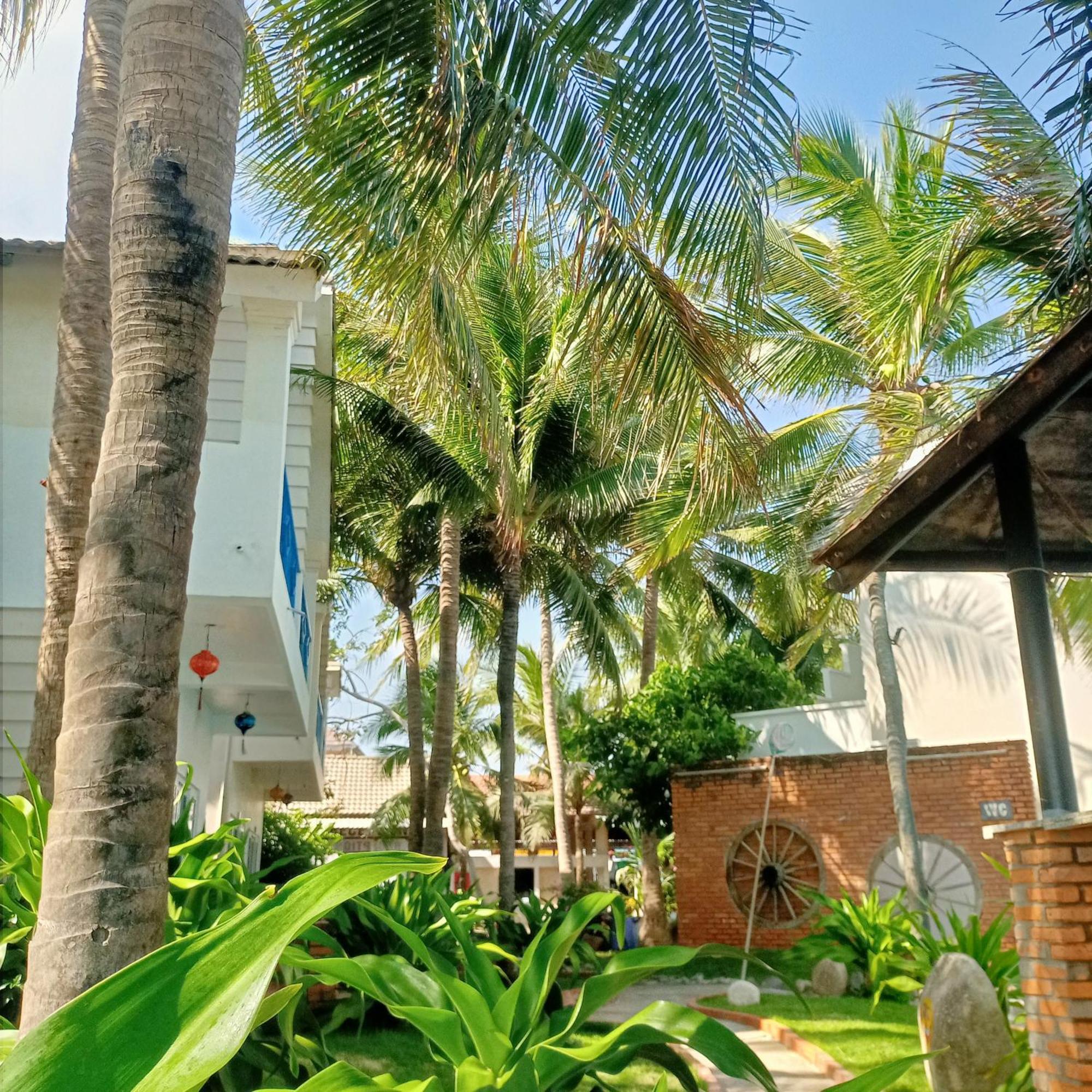 Resort Paradise 3*
