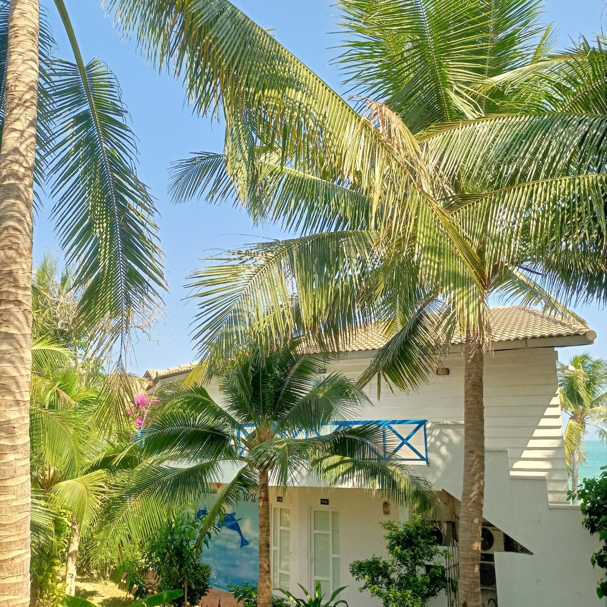 Paradise 3*