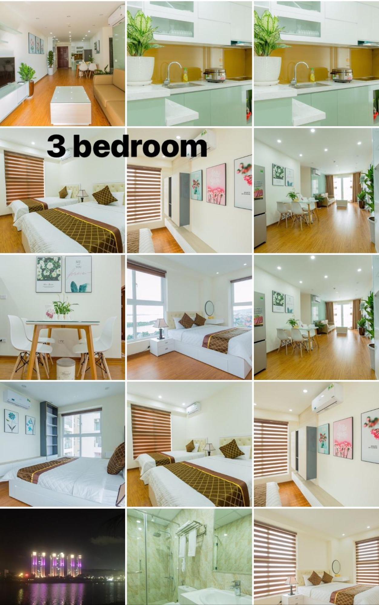 Apartment Vip