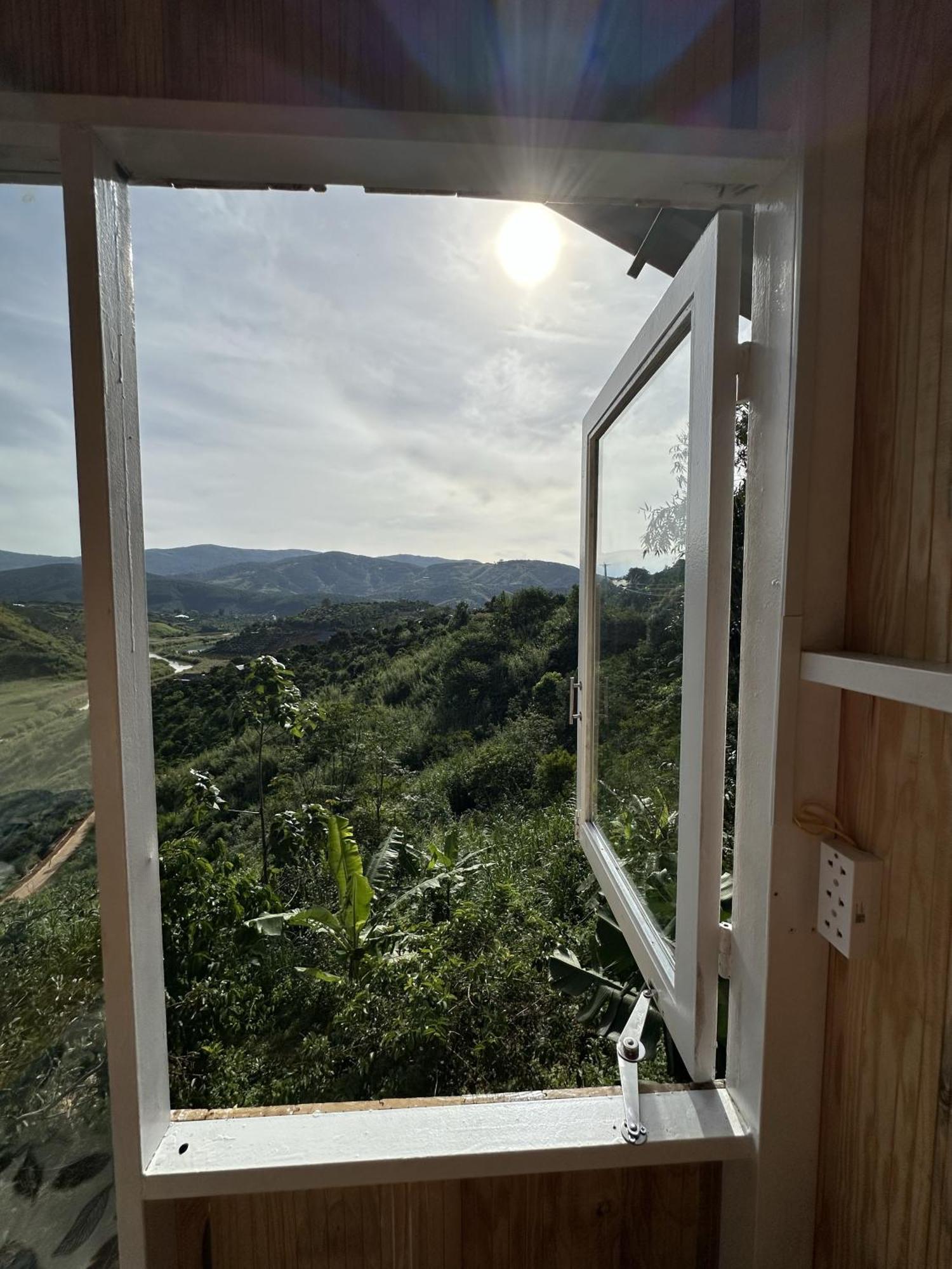 Midori Coffee Farm