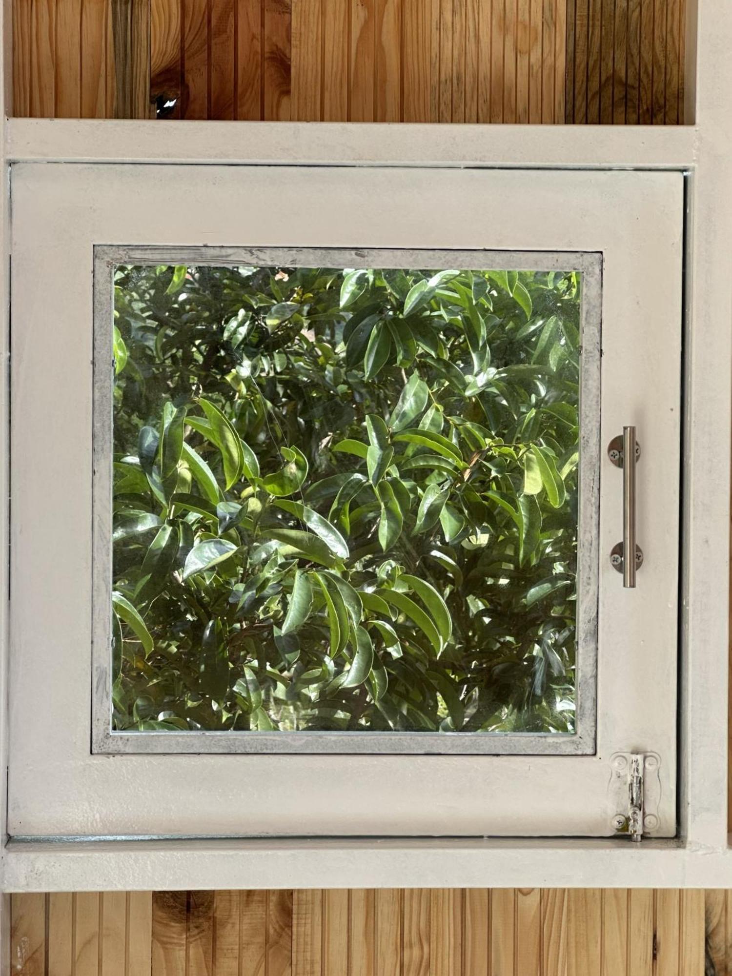 Bauernhof Midori Coffee Farm