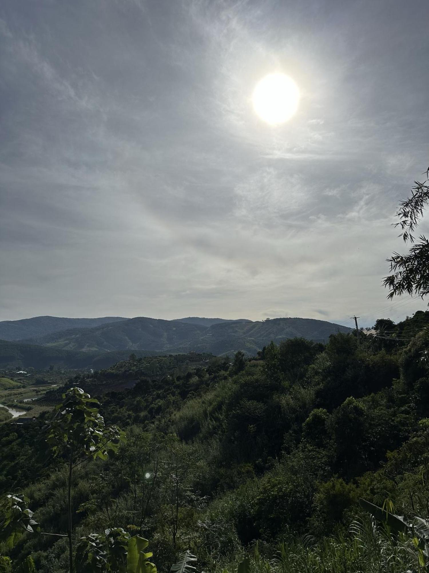 Midori Coffee Farm Farm stay Da Lat
