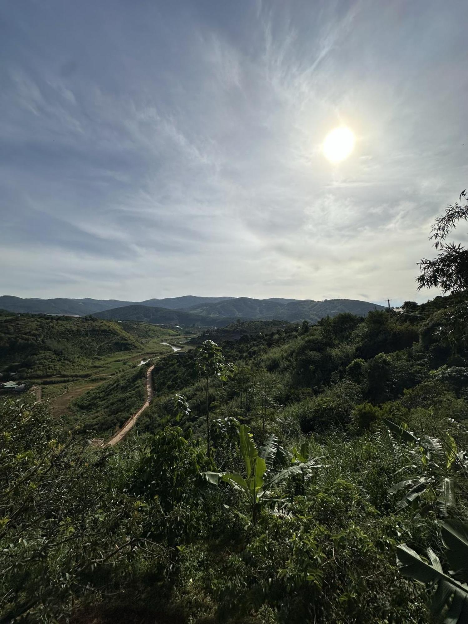 Midori Coffee Farm Farm stay Da Lat