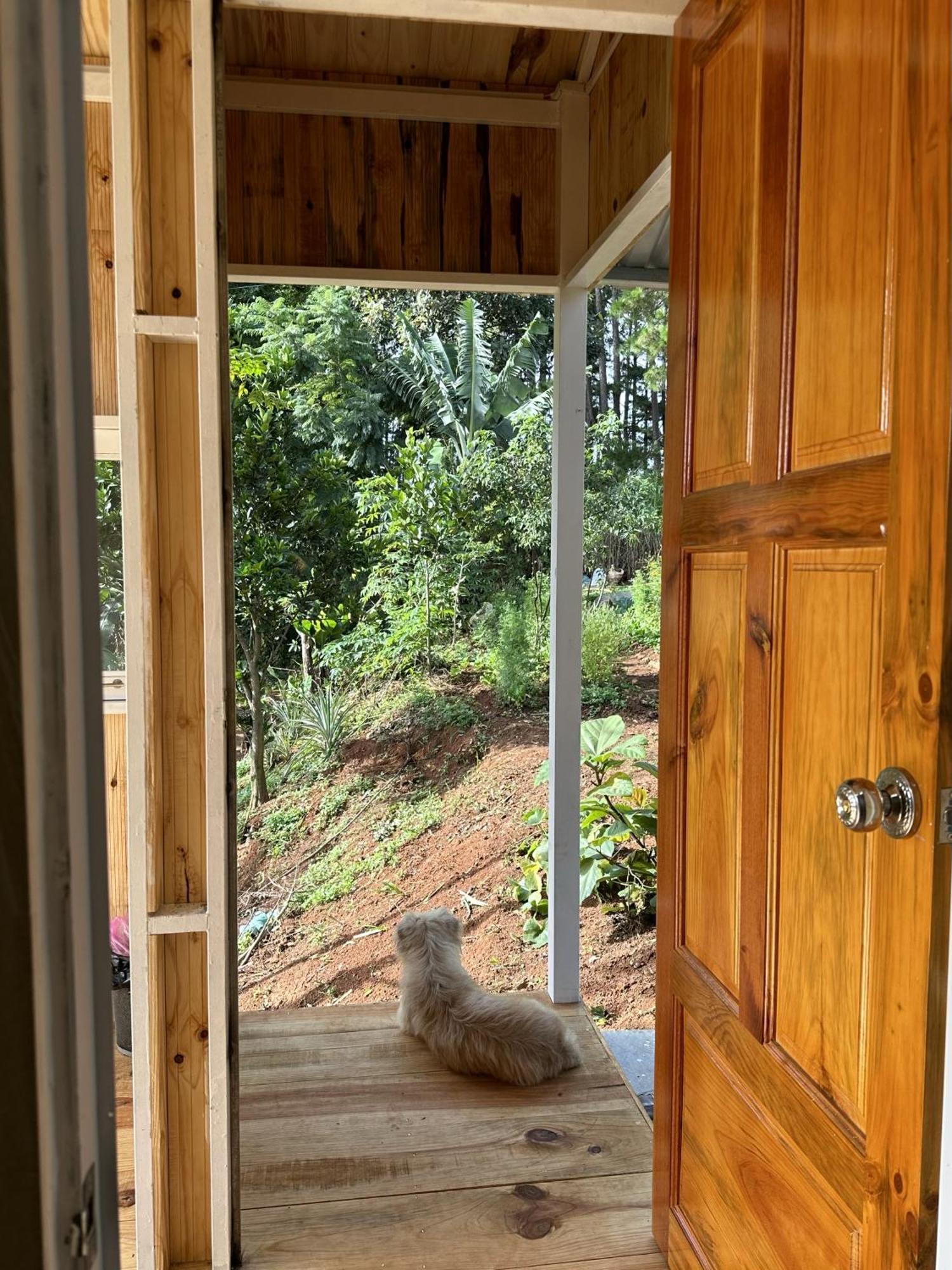 Farm stay Midori Coffee Farm Da Lat