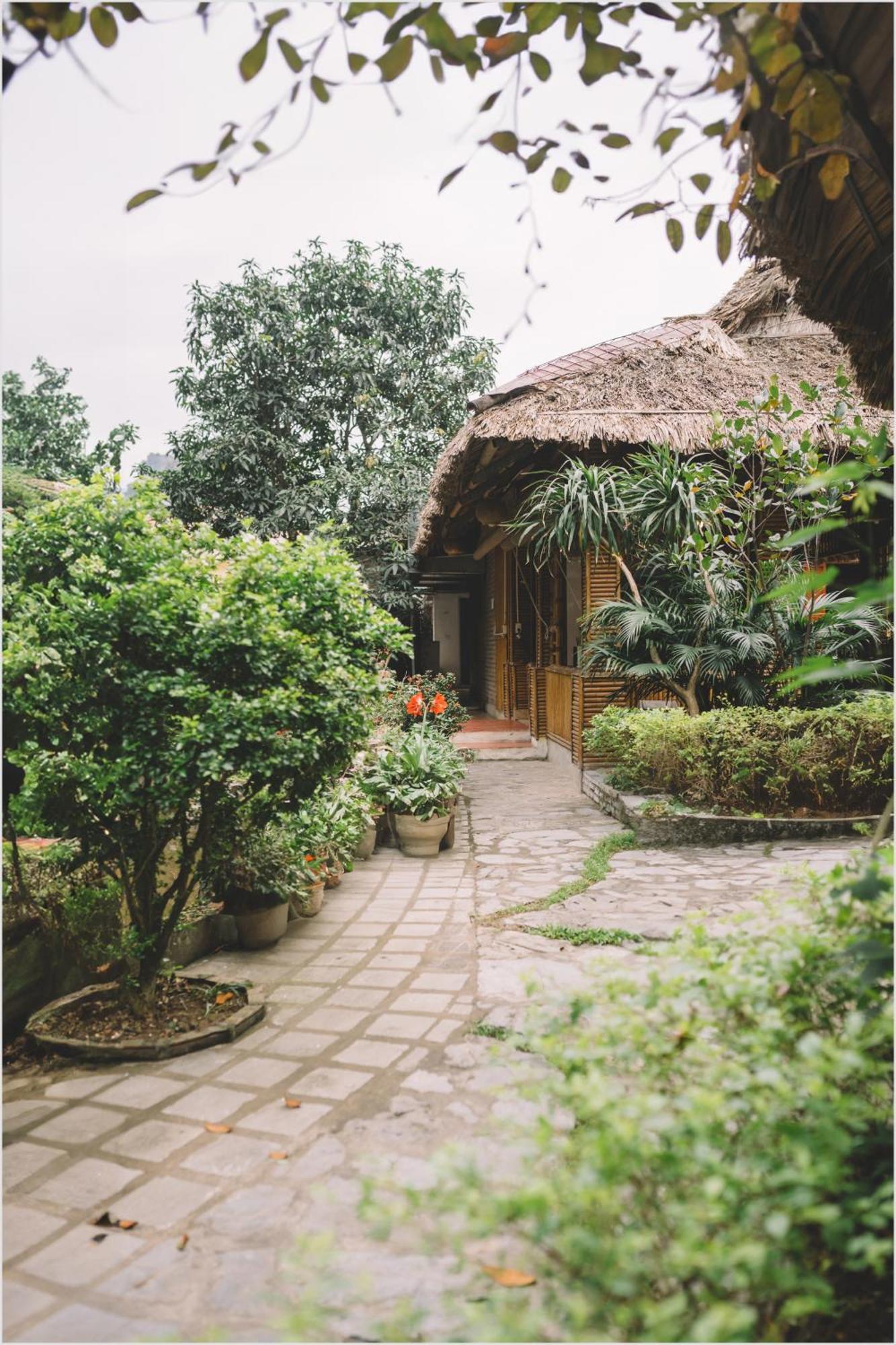Trang An Mountain House Homestay