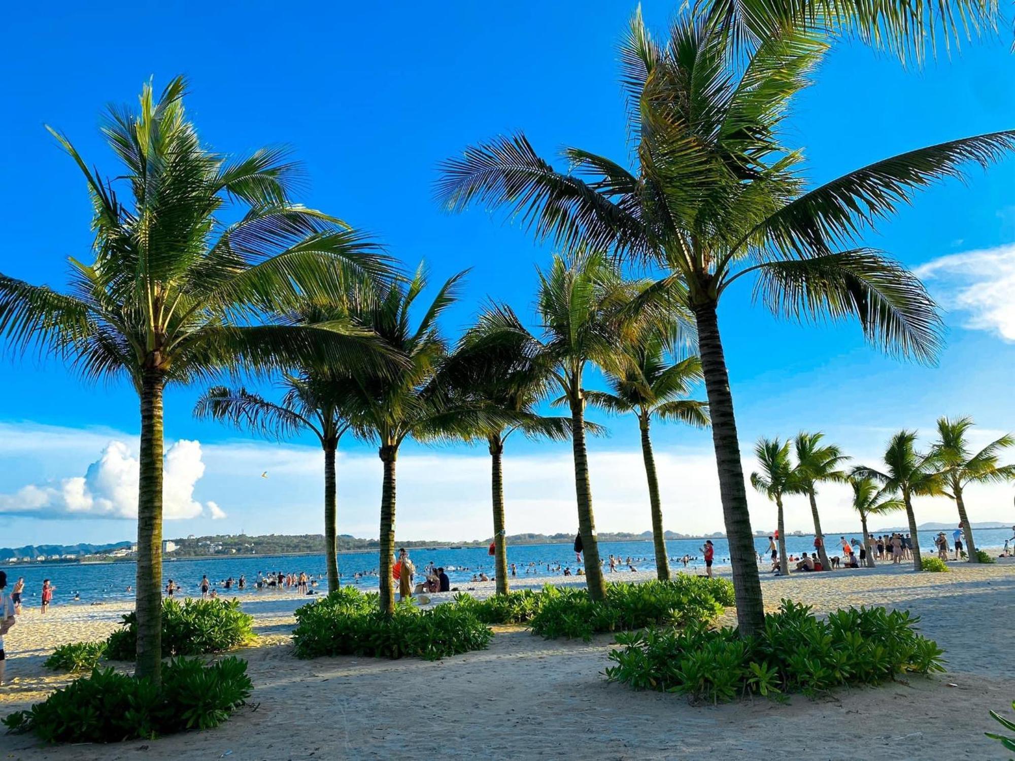 Apartment Bayside Bliss By A La Carte Ocean View *
