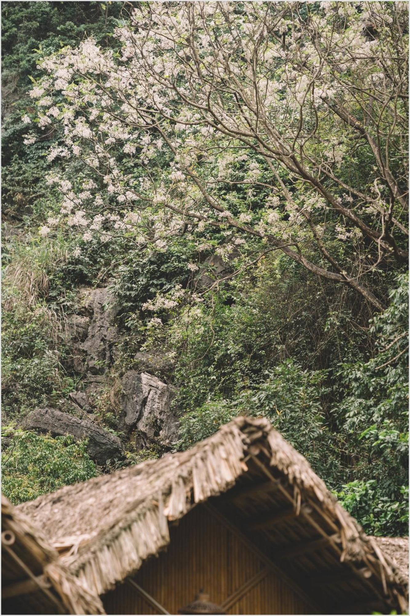 Trang An Mountain House Homestay