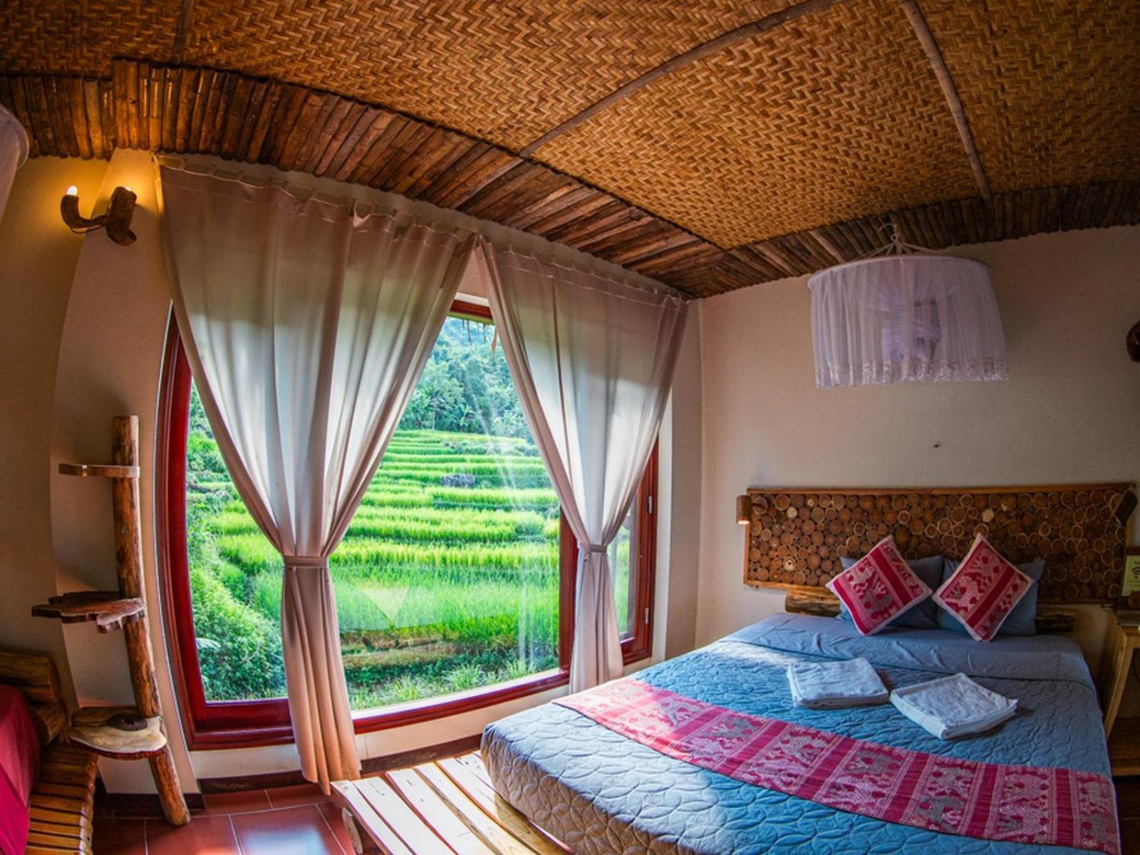 Jungle Resort