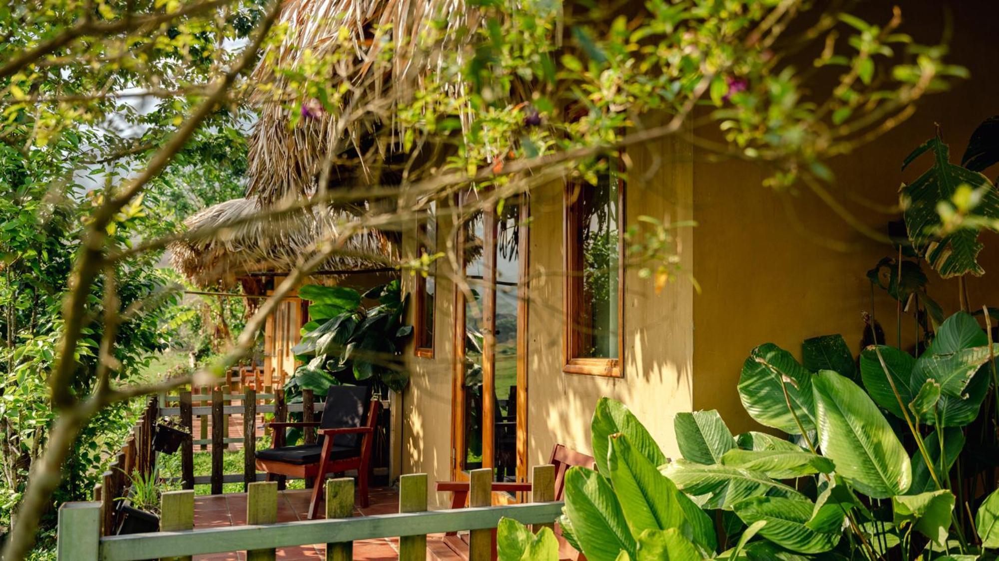 Eco Homestay *