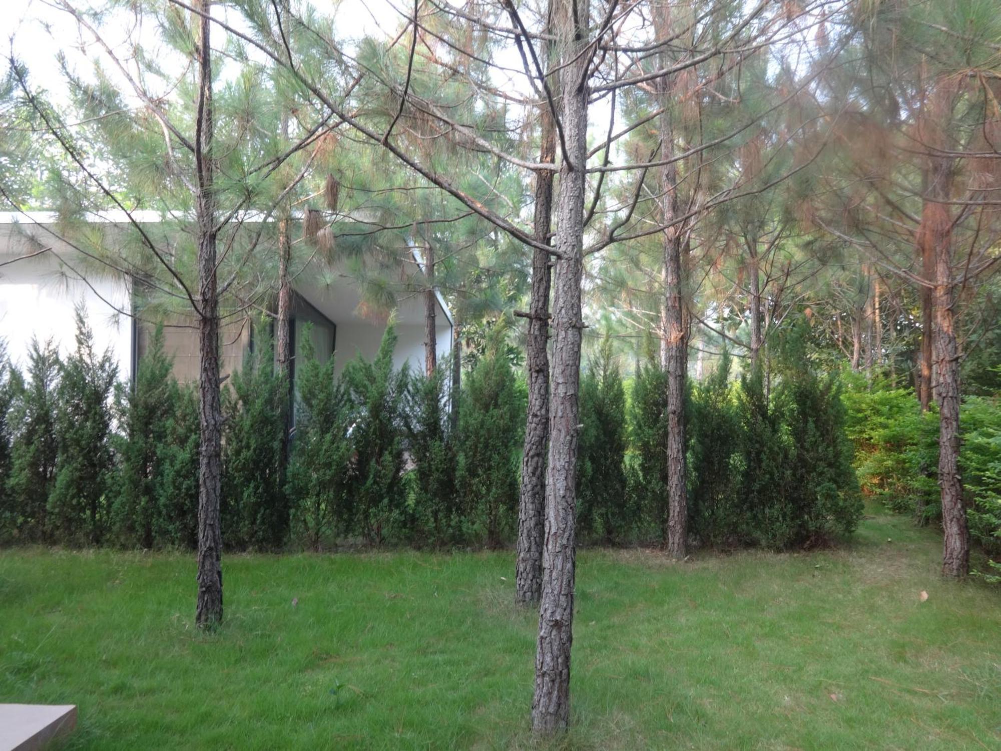 R331 Forest Dai Lai Villa *