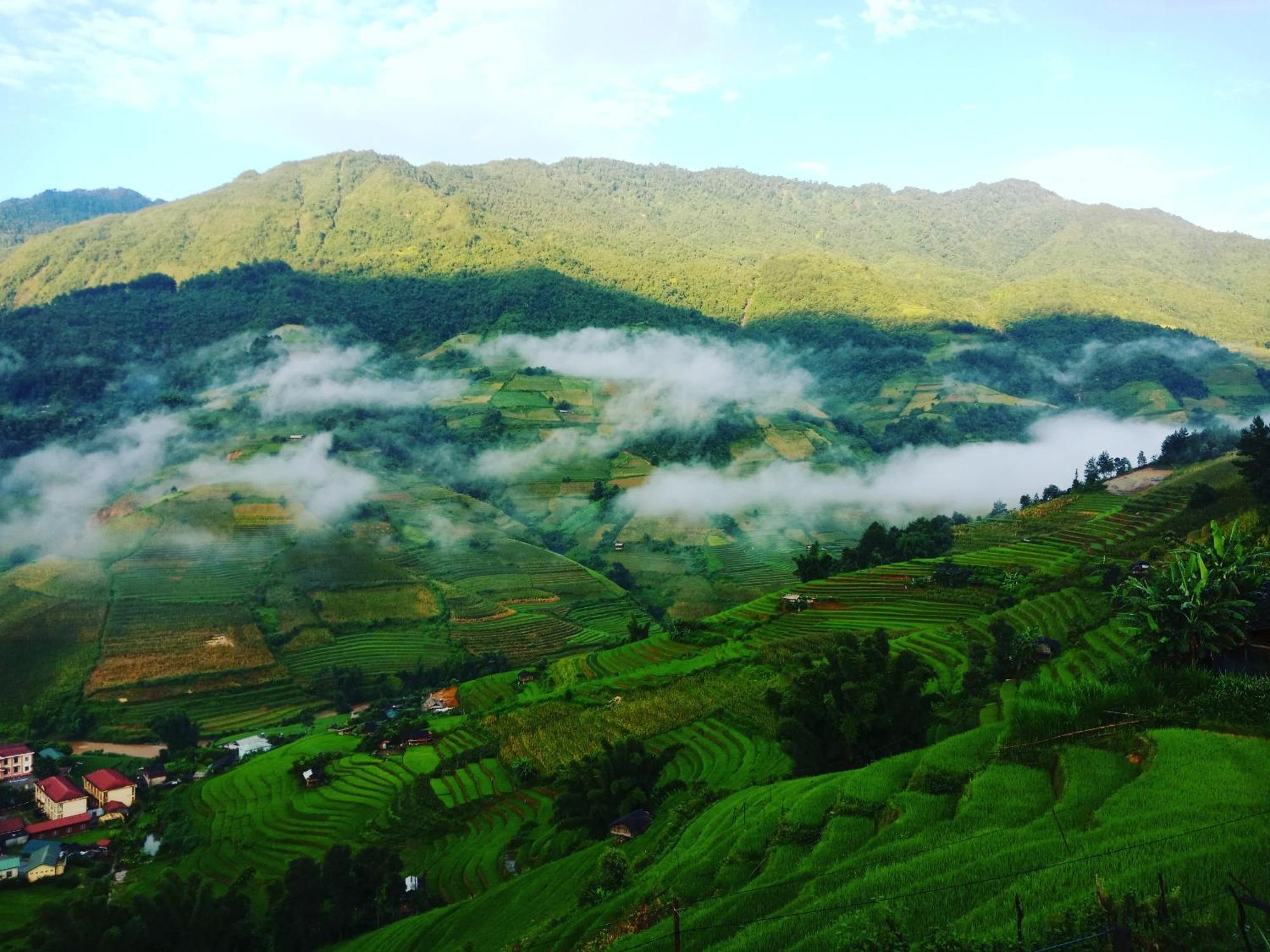 Big View Homestay, Tour & Vegetarian Guest house