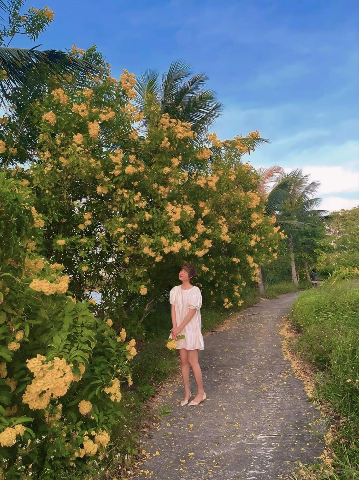 Luxury Halong