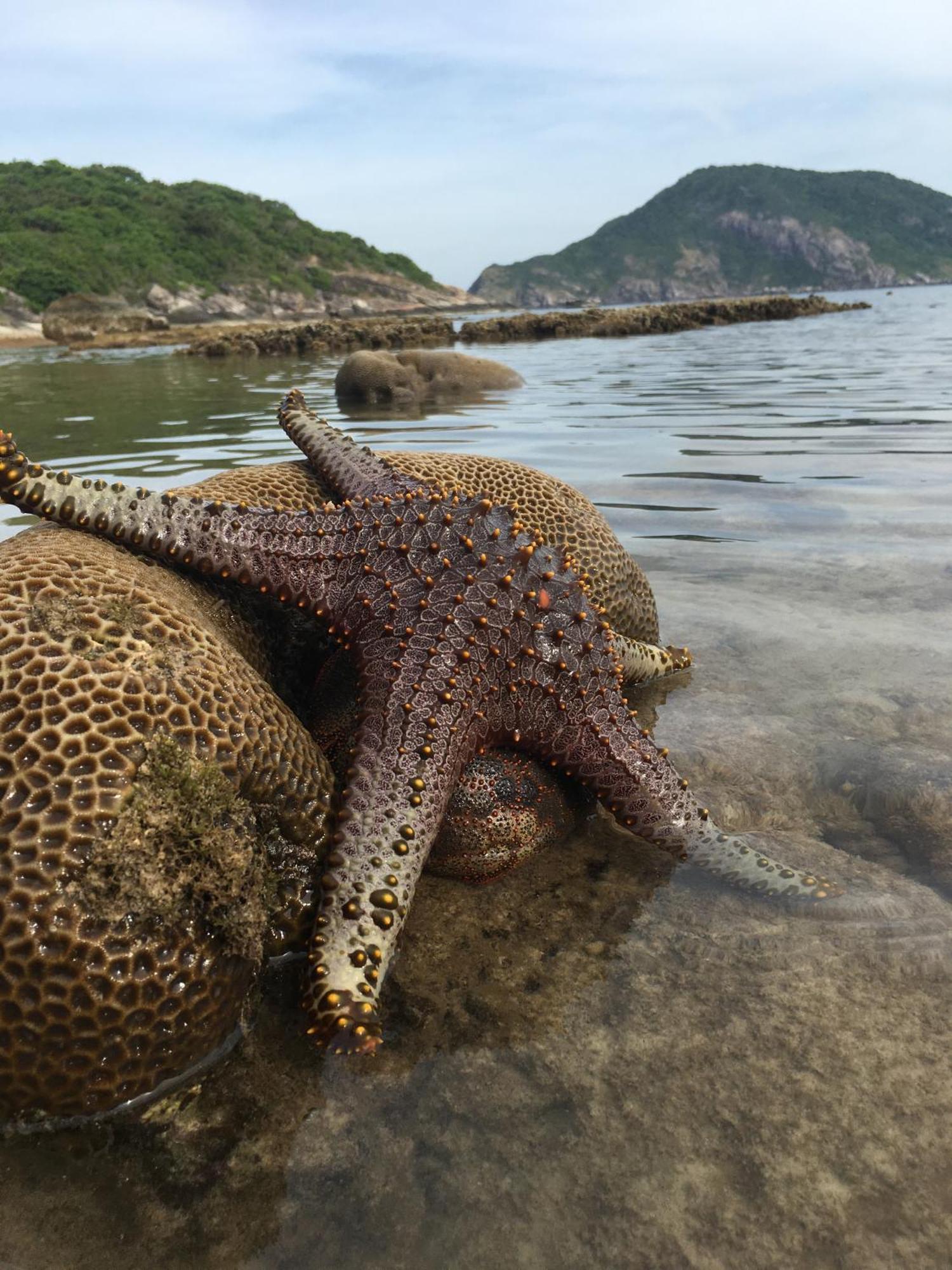 Cham Island Lau Thu Homestay