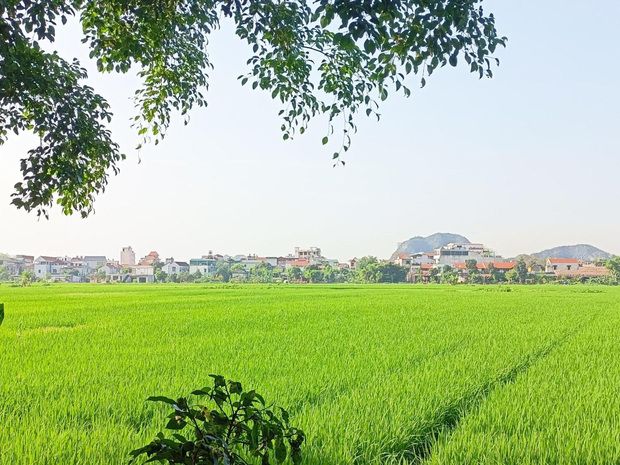 Tam Coc Sunshine Ninh Bình
