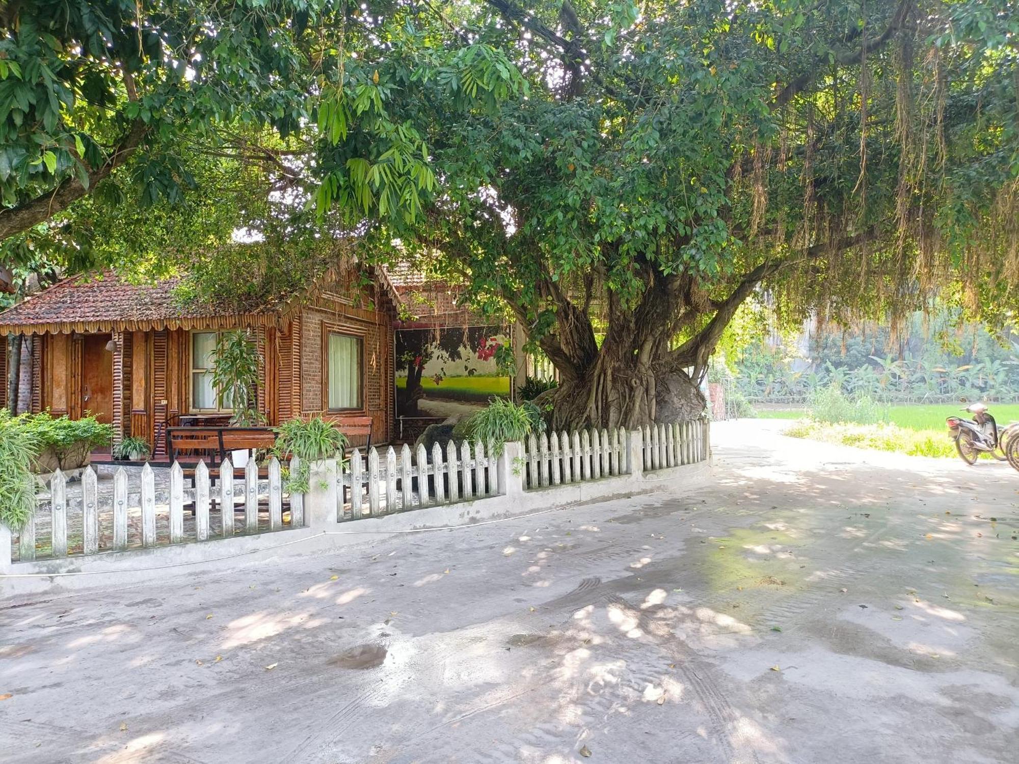 Hotel Tam Coc Sunshine
