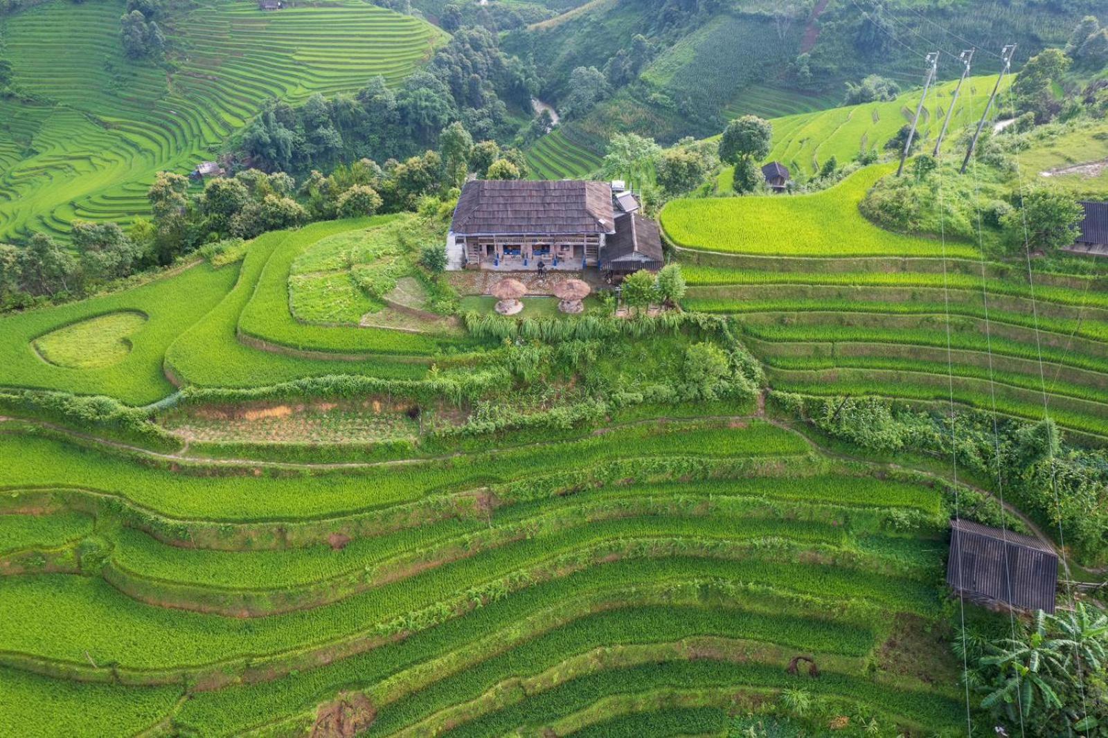Big View Homestay, Tour & Vegetarian Guest house *