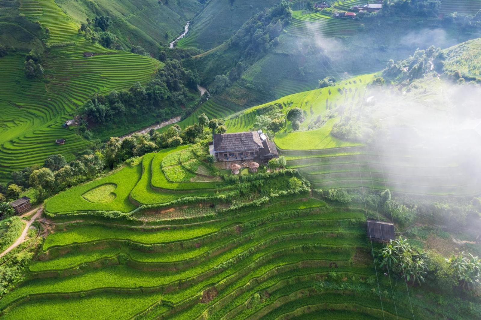 Big View Homestay, Tour & Vegetarian Guest house Mu Cang Chai
