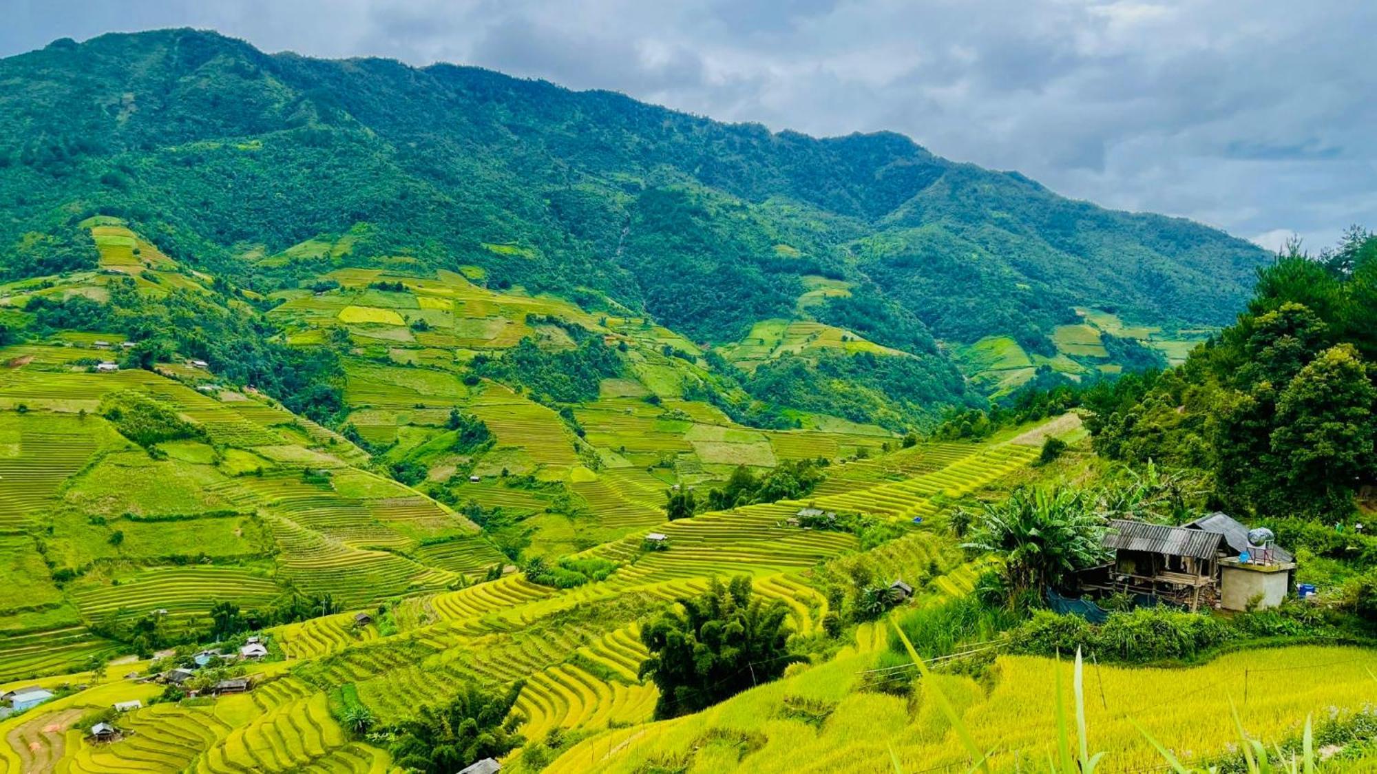 Guest house Big View Homestay, Tour & Vegetarian