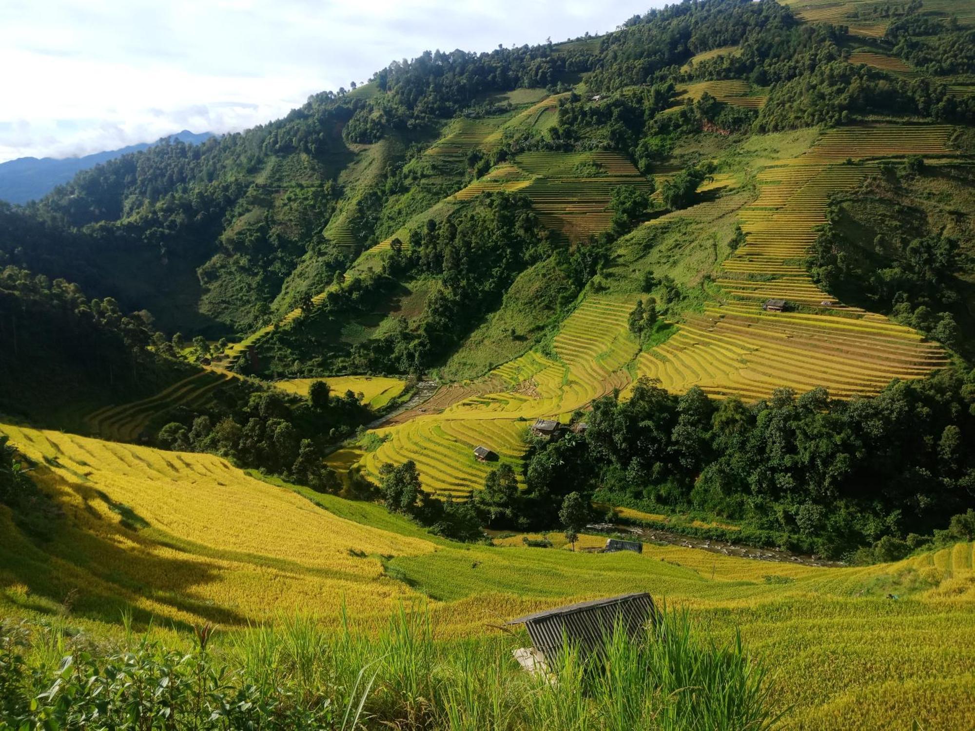 Big View Homestay, Tour & Vegetarian