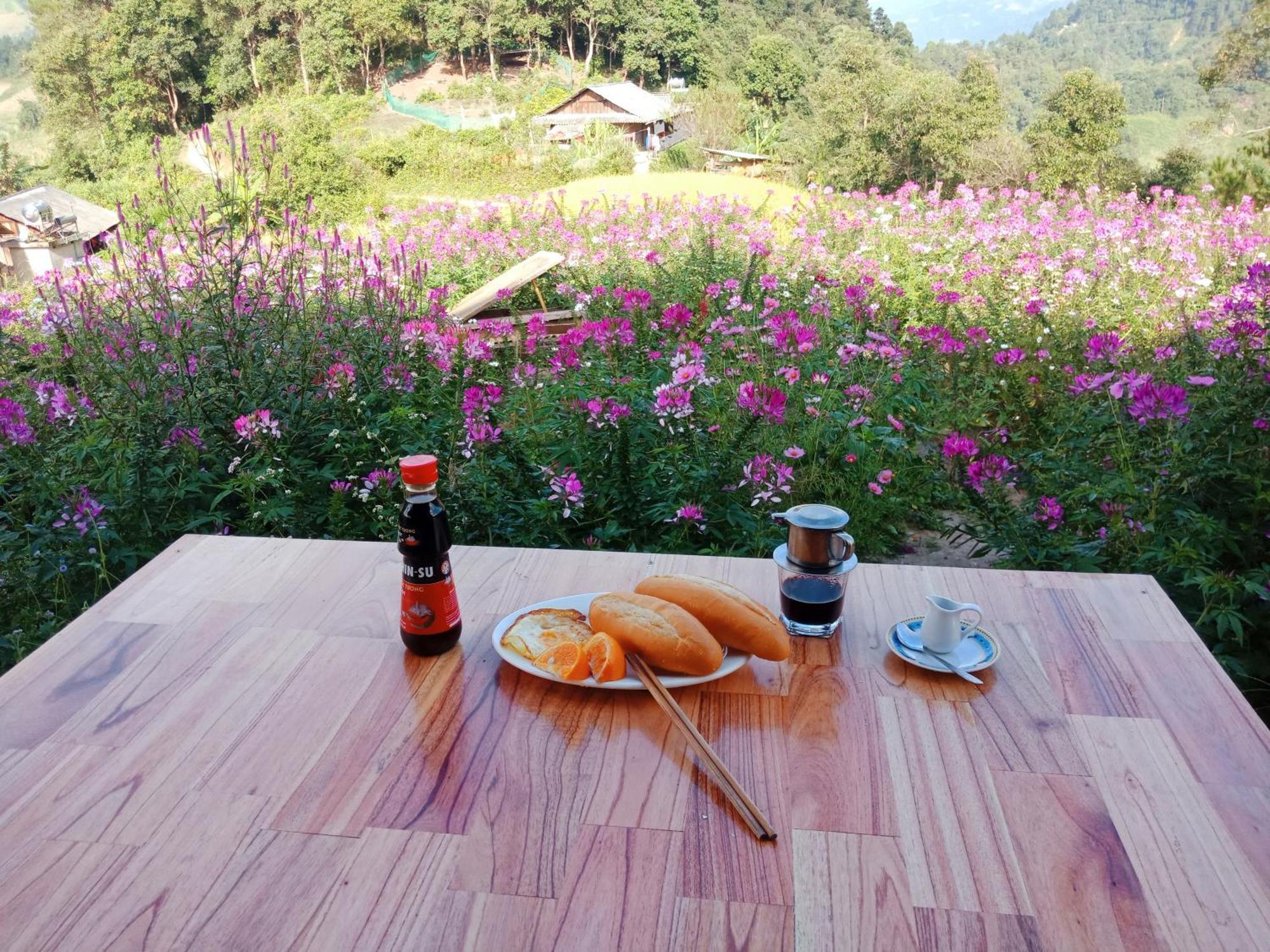 Big View Homestay, Tour & Vegetarian * Mu Cang Chai