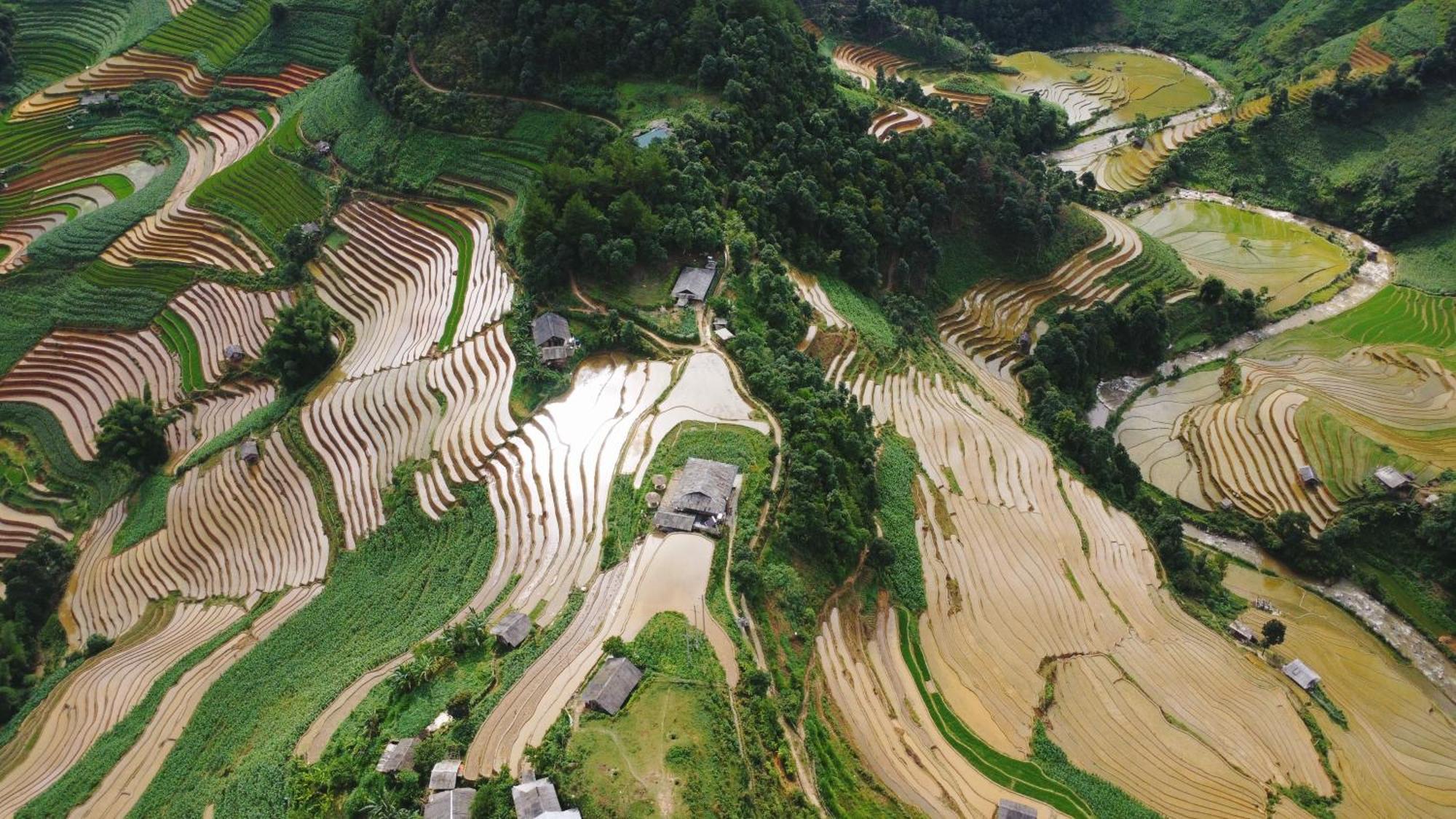 Guest house Big View Homestay, Tour & Vegetarian Mu Cang Chai