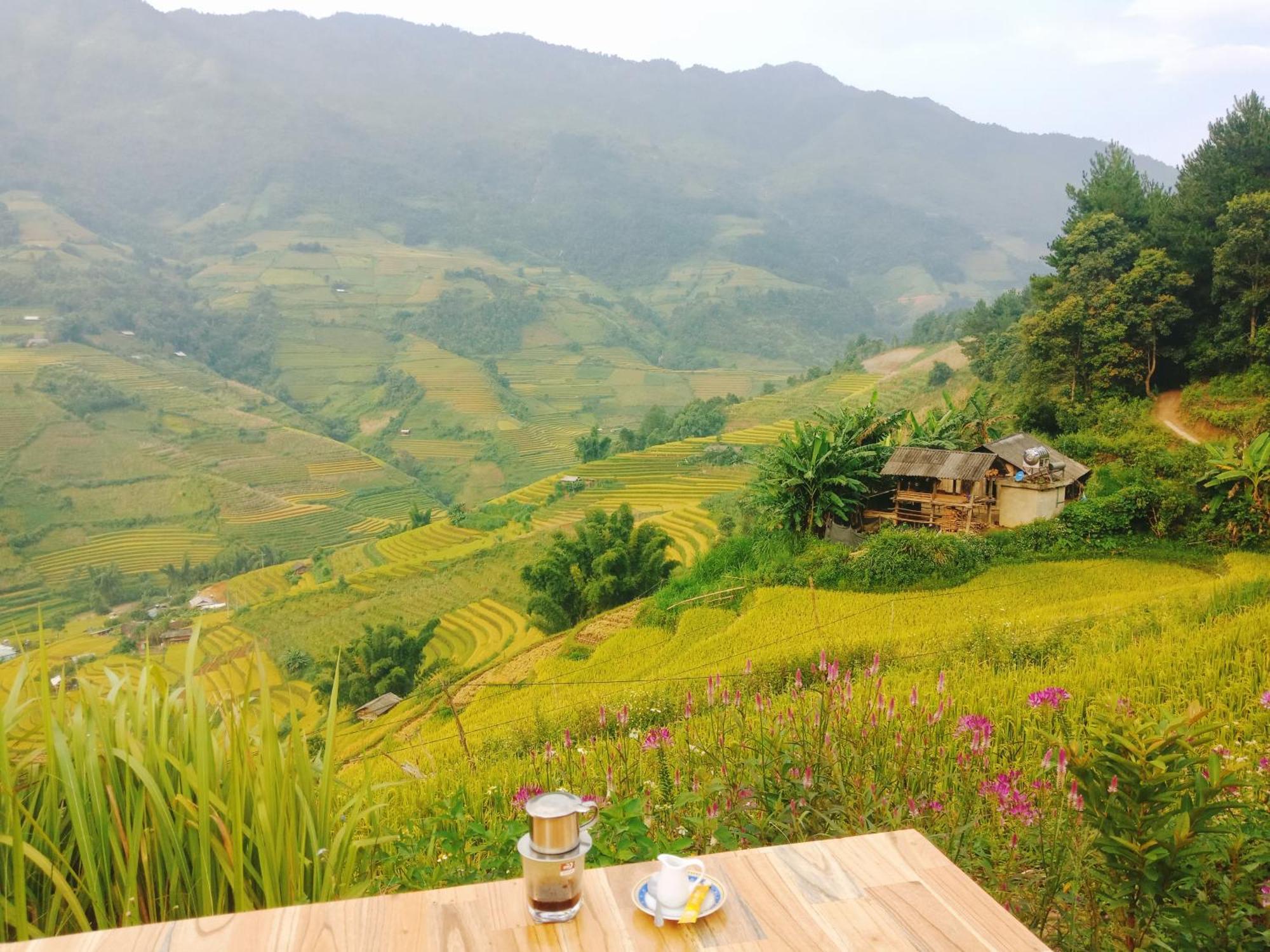 Big View Homestay, Tour & Vegetarian *