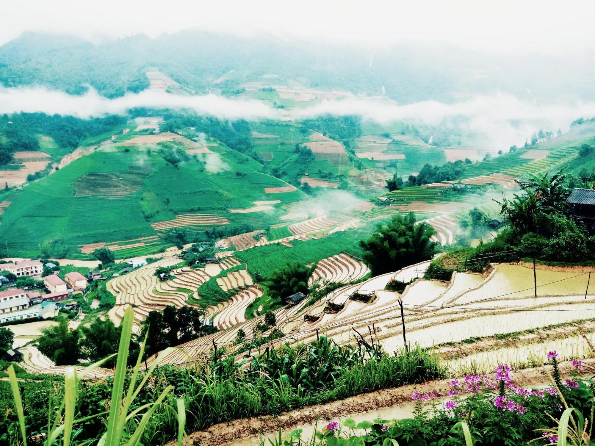 Big View Homestay, Tour & Vegetarian *