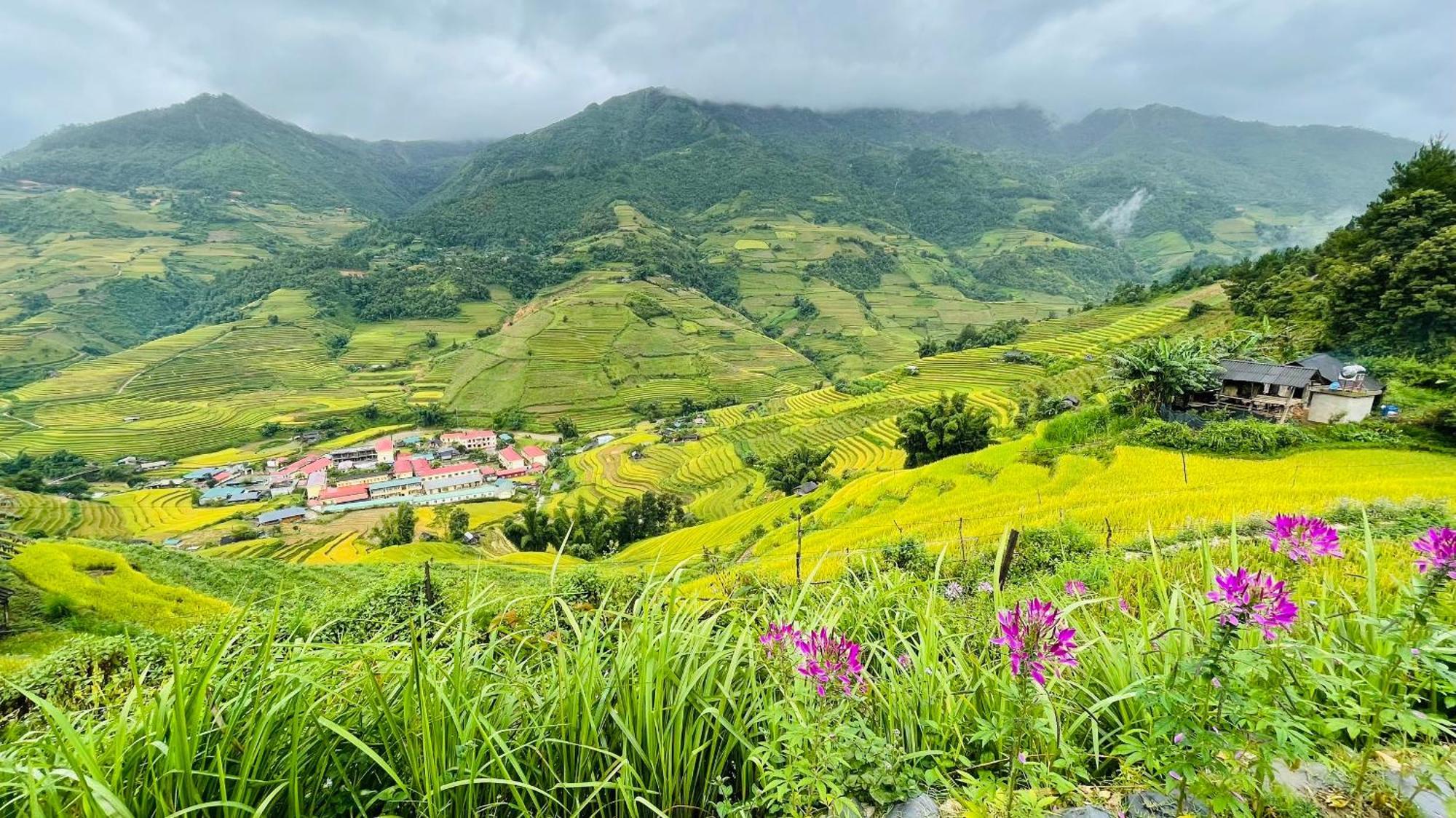 Big View Homestay, Tour & Vegetarian *
