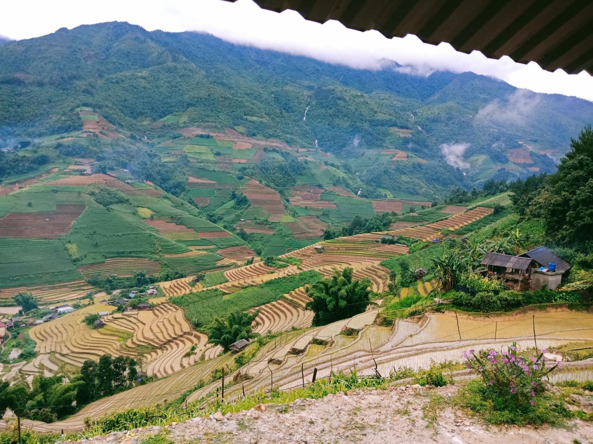Big View Homestay, Tour & Vegetarian Mu Cang Chai